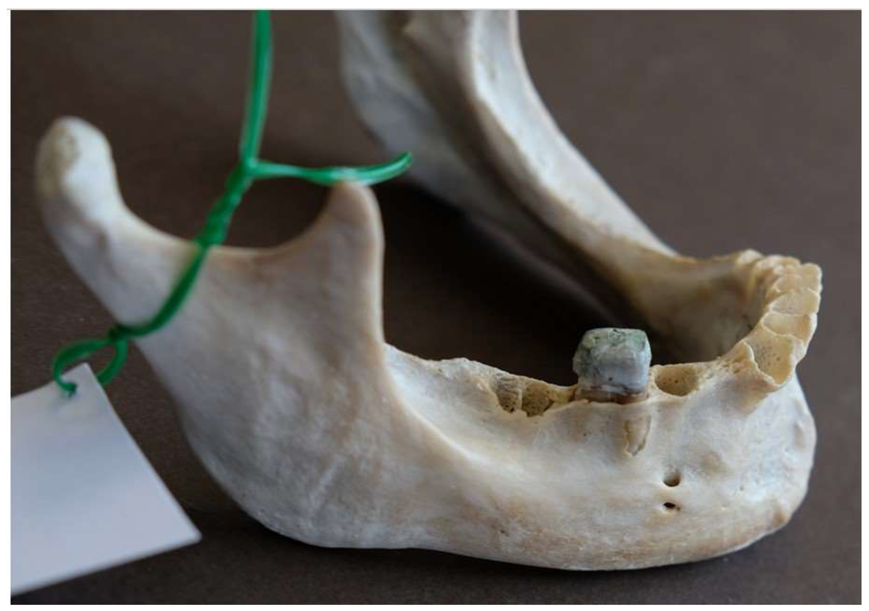 Preprints 146120 g006