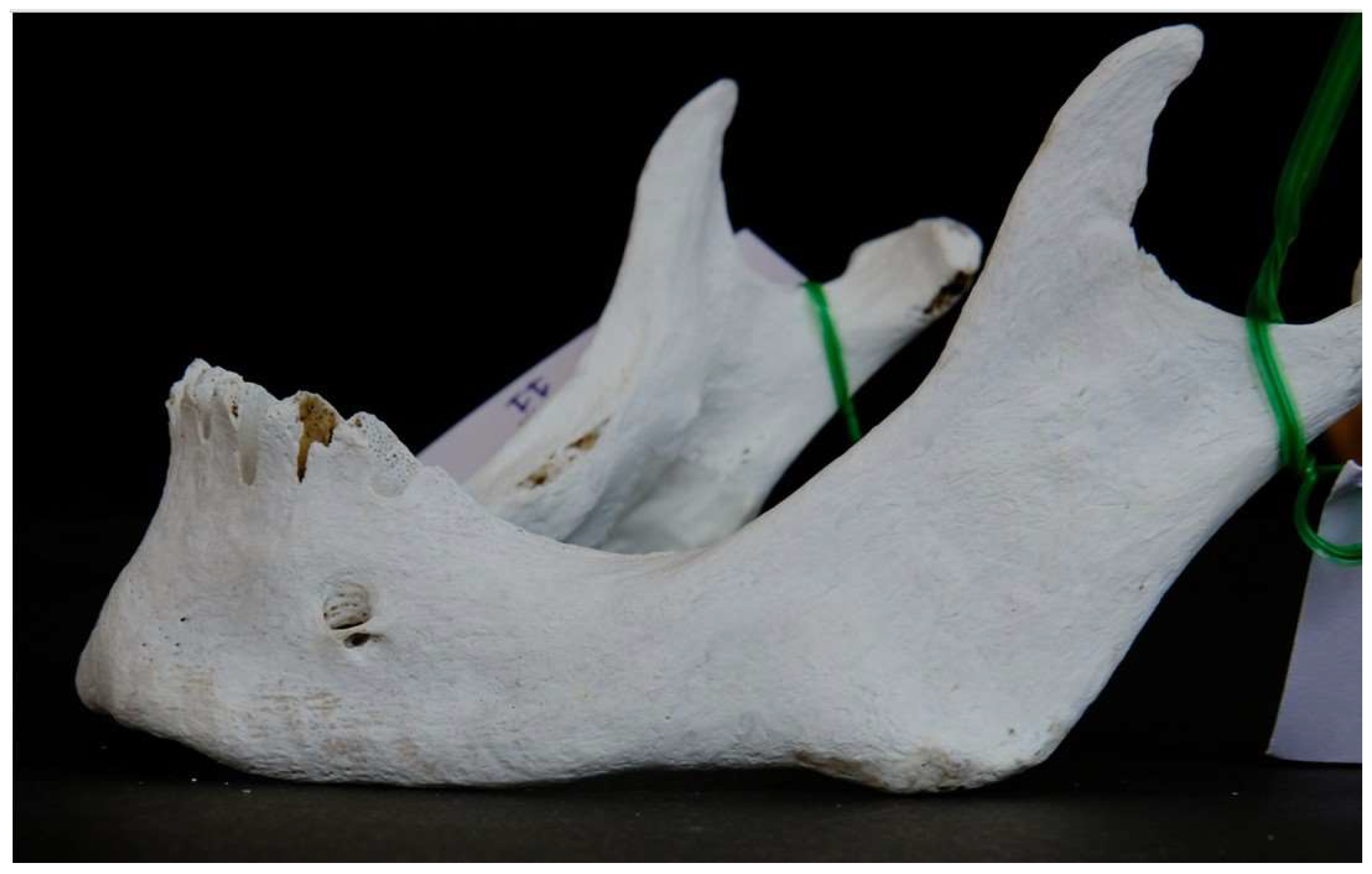 Preprints 146120 g007