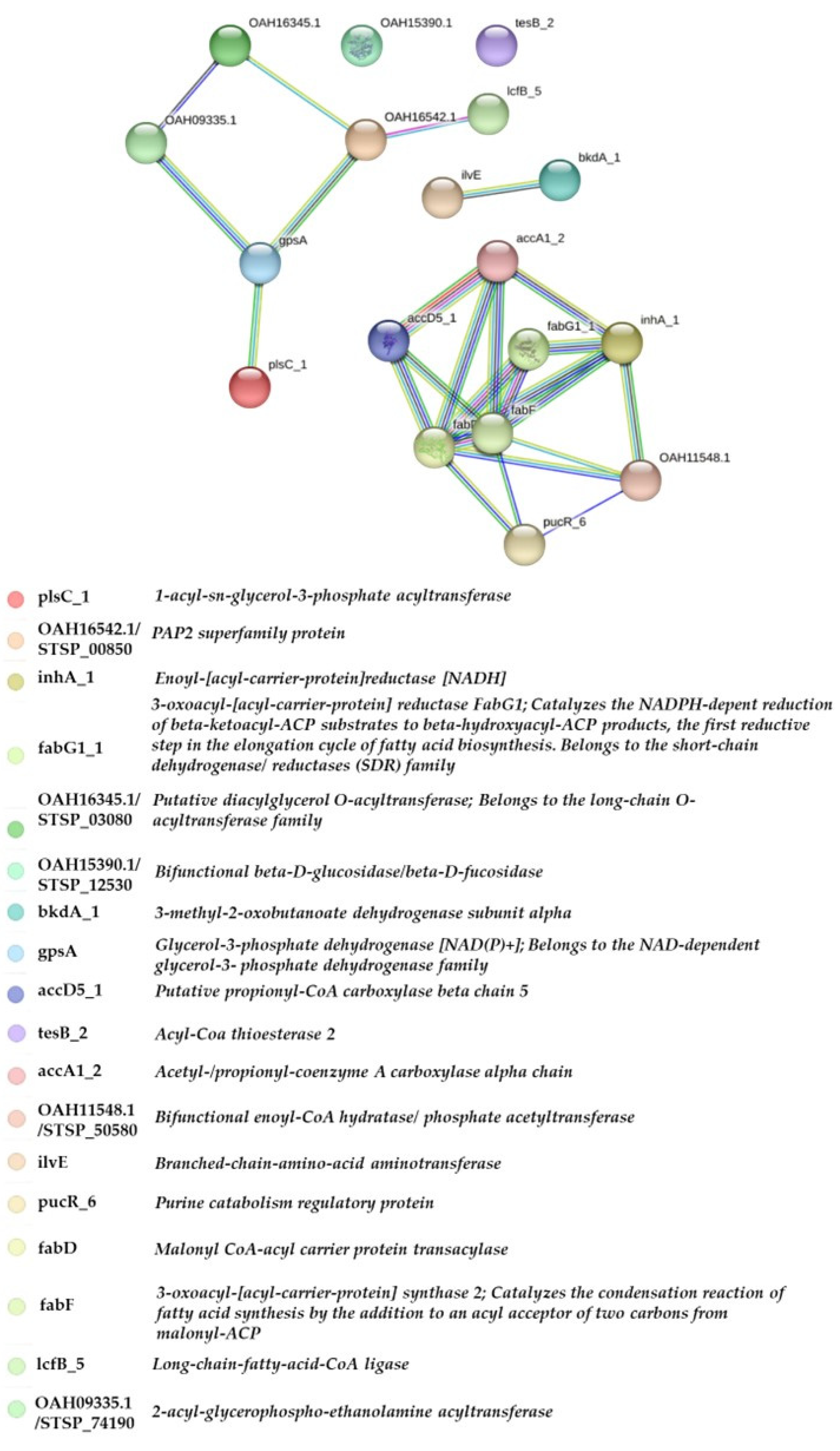 Preprints 144126 g006