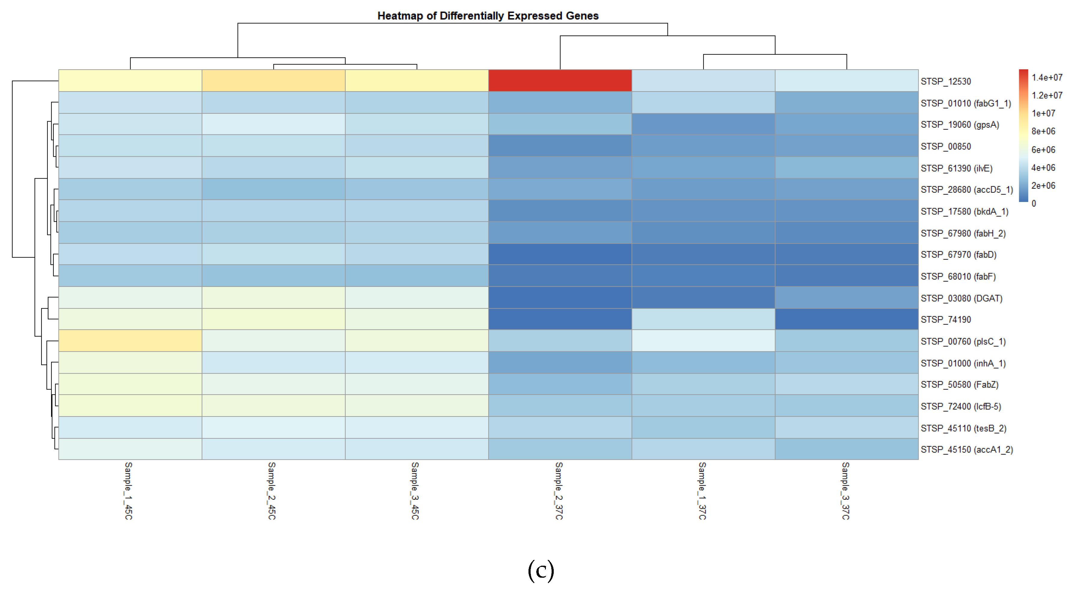 Preprints 144126 g007b