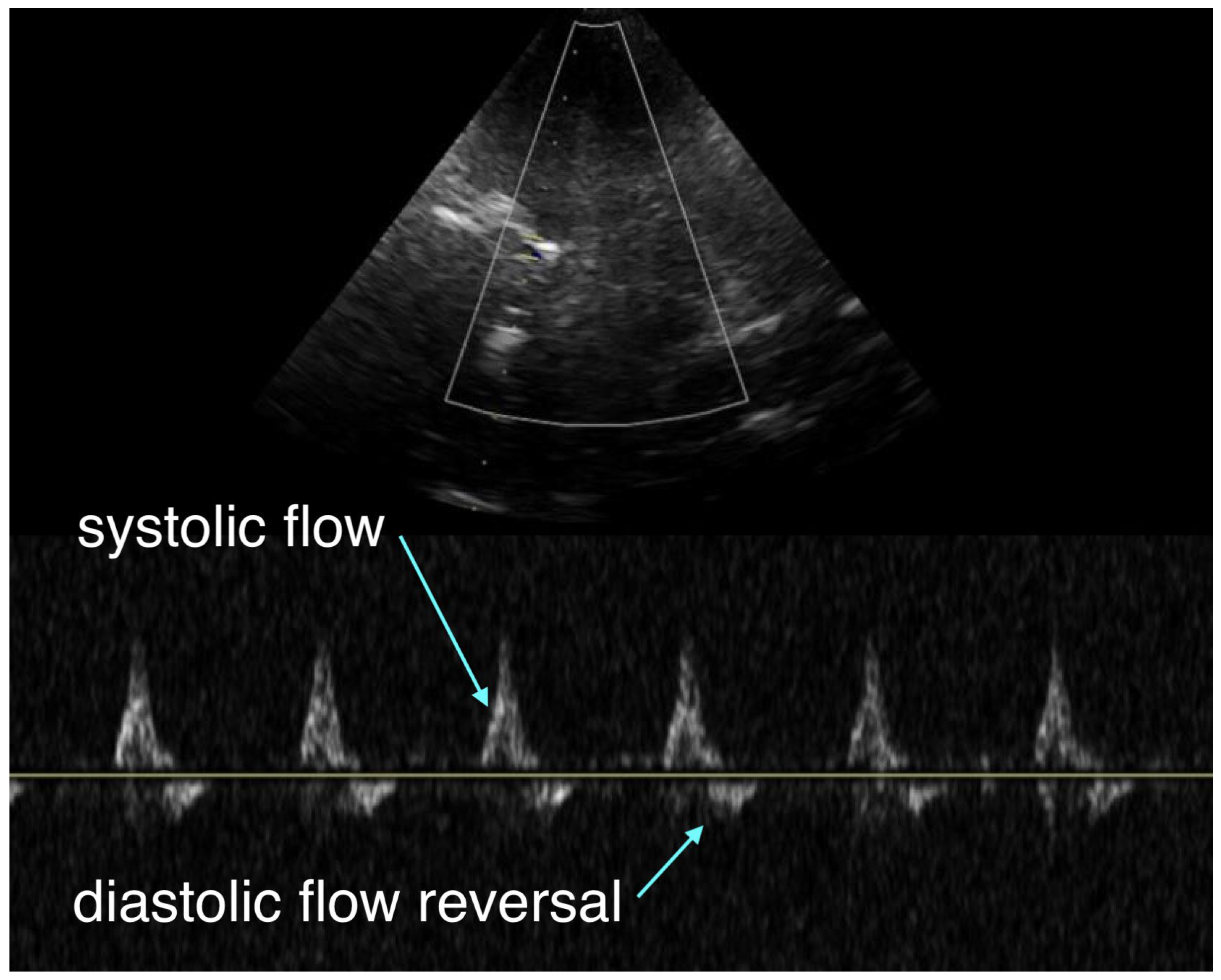 Preprints 175387 g001