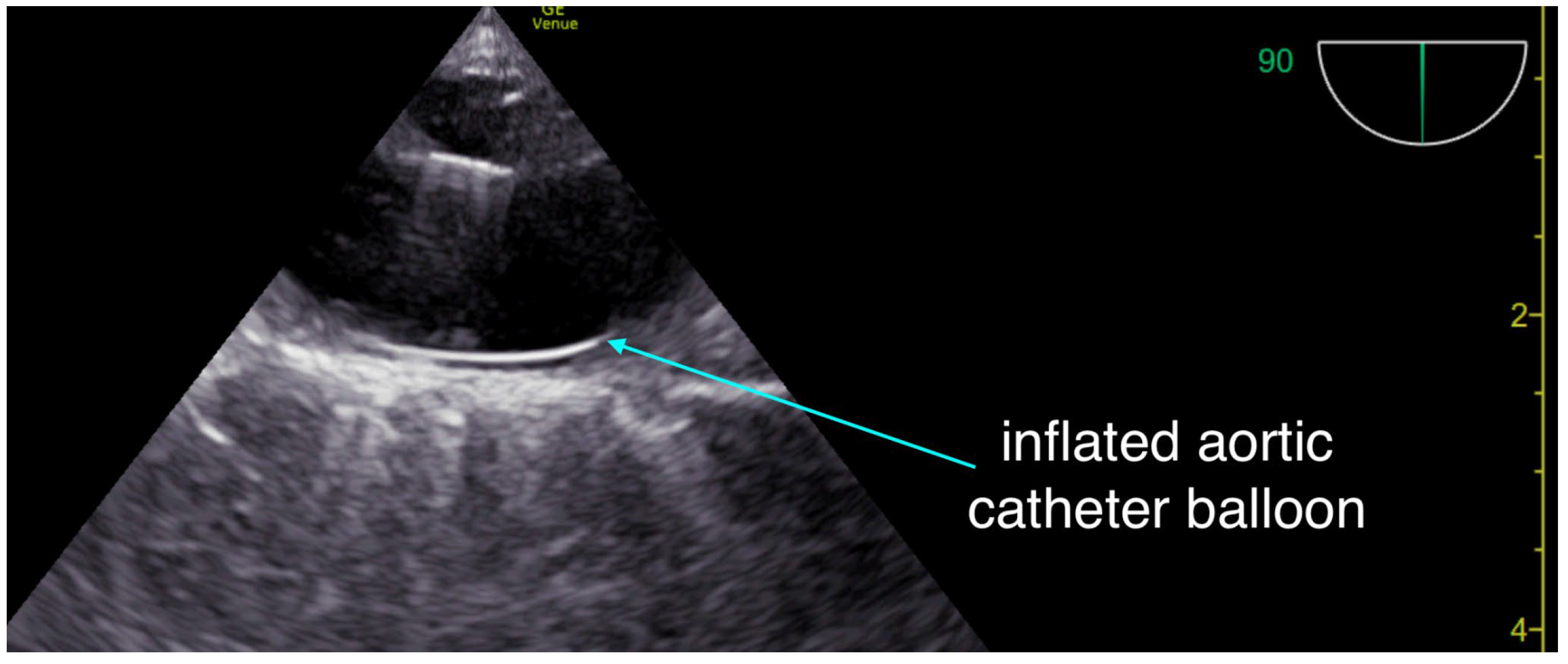 Preprints 175387 g002