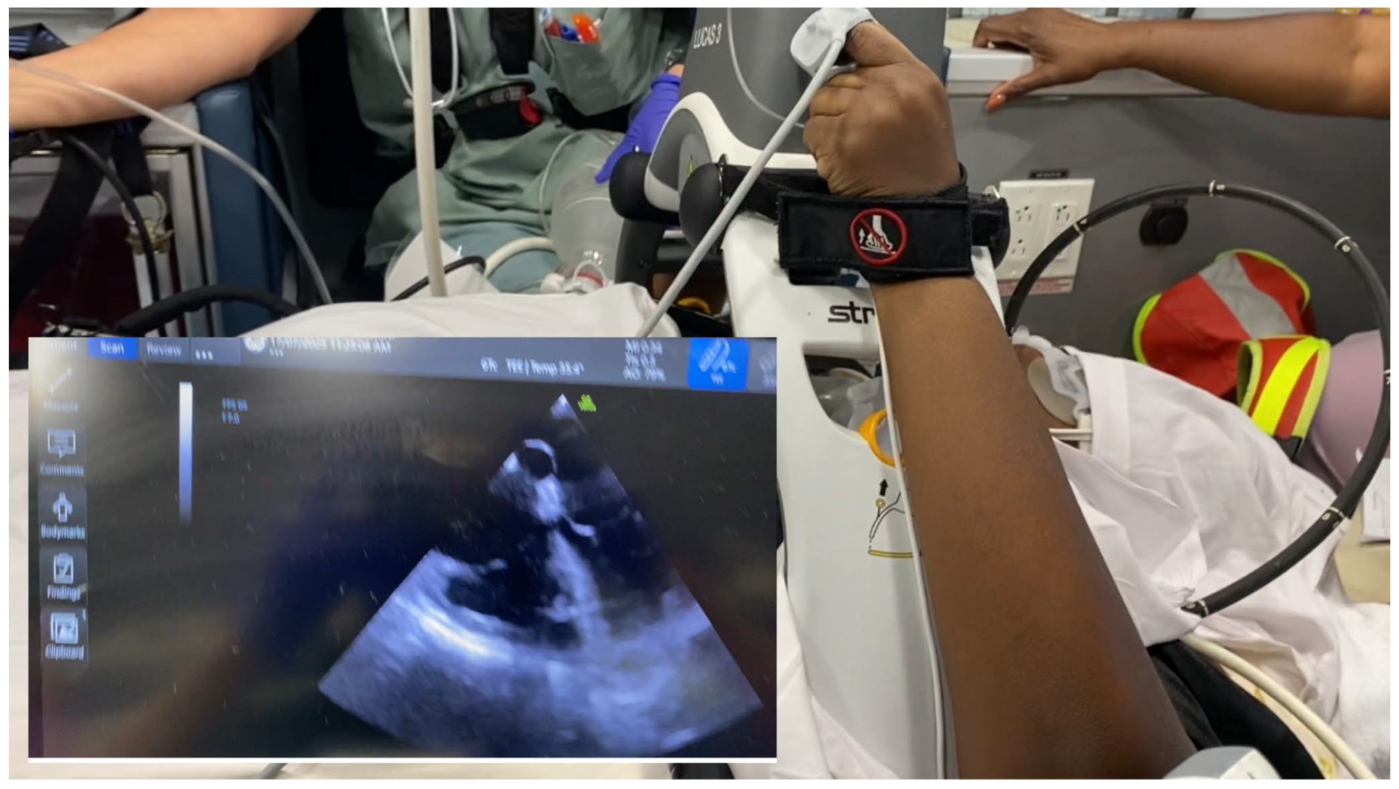 Preprints 175387 g003