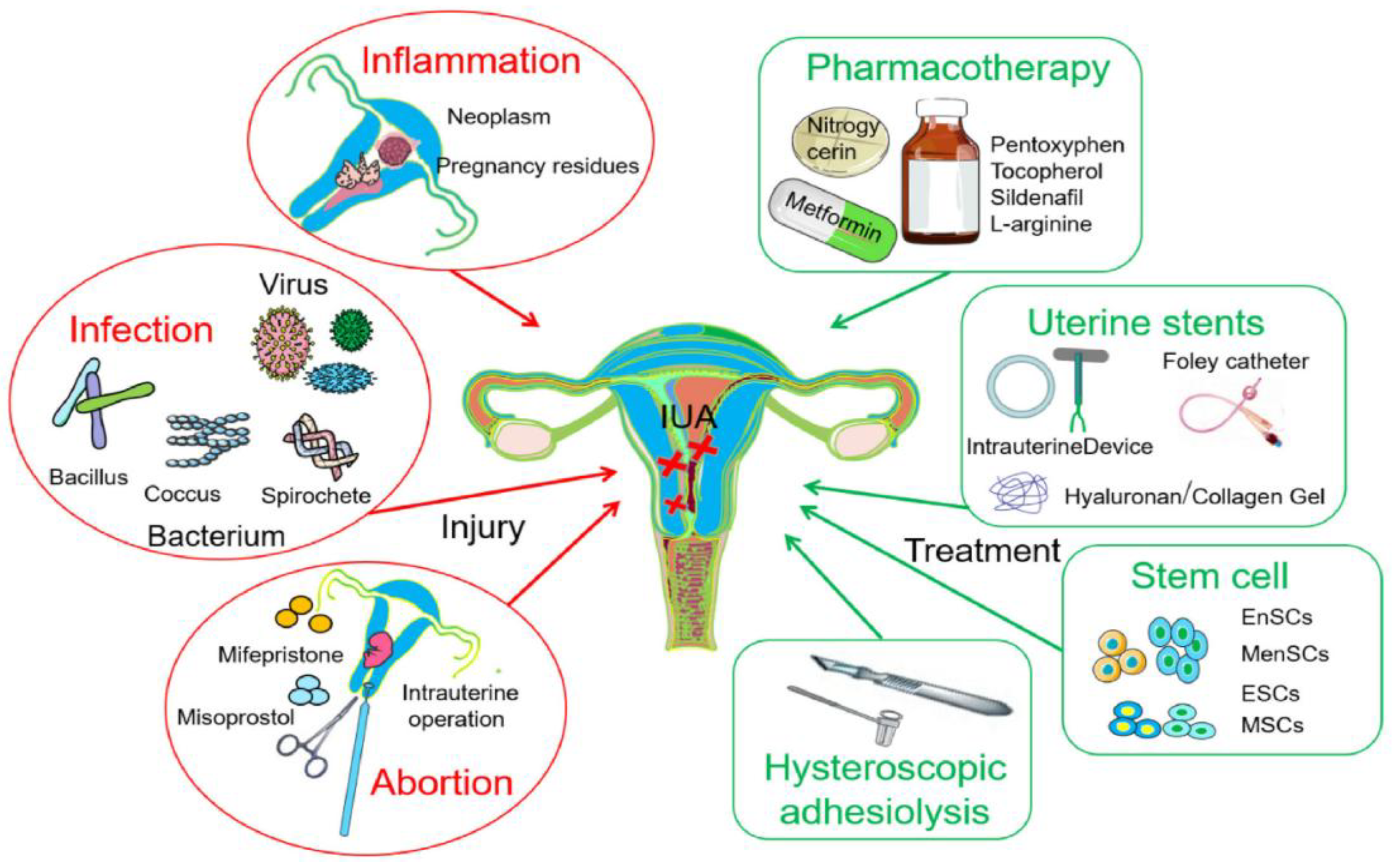 Preprints 153677 g001