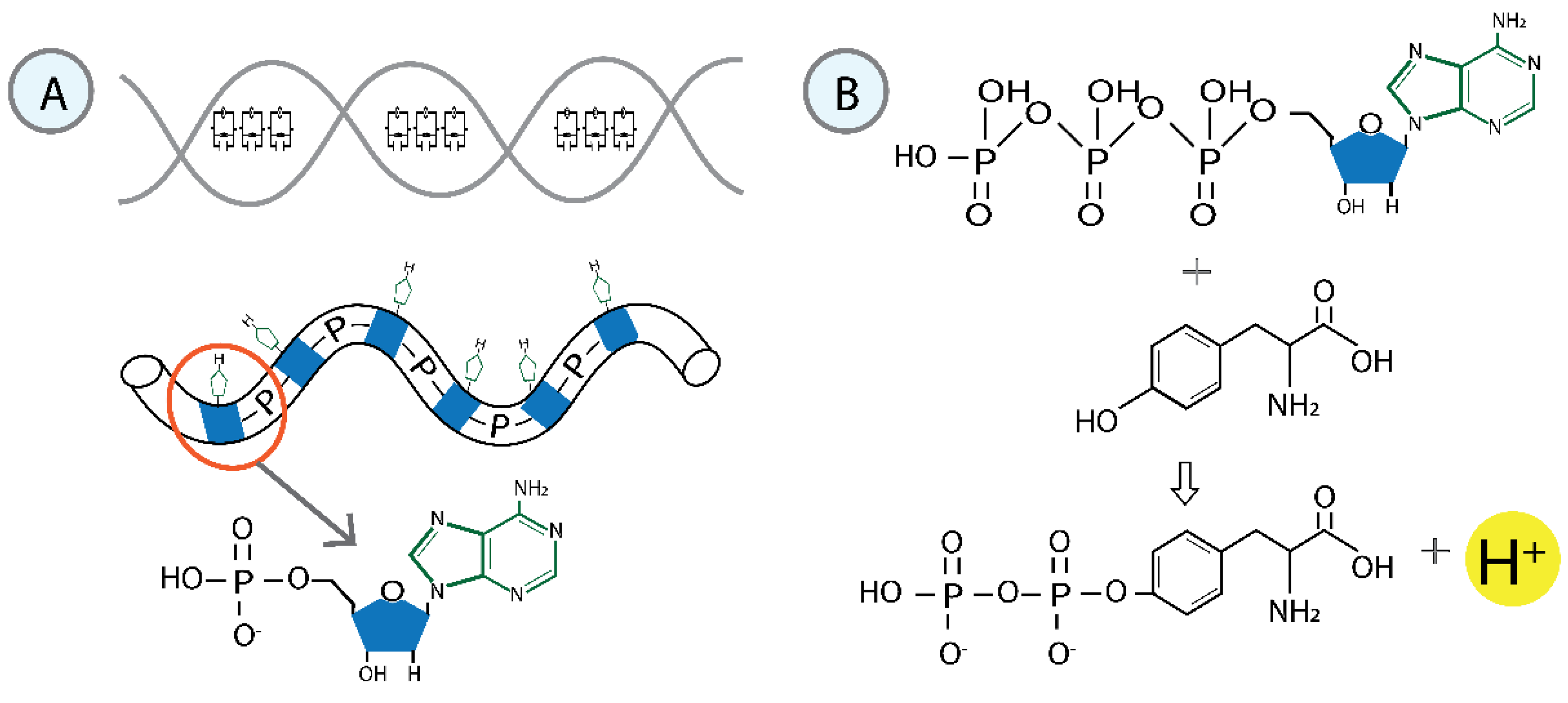 Preprints 151355 g001