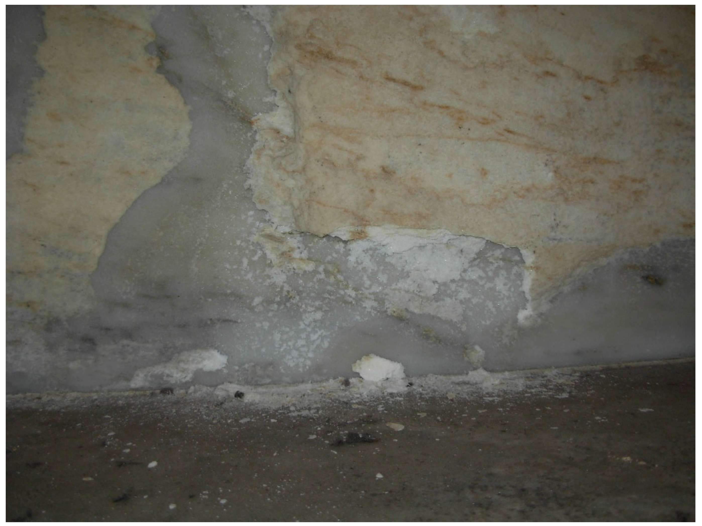 Preprints 168710 g011