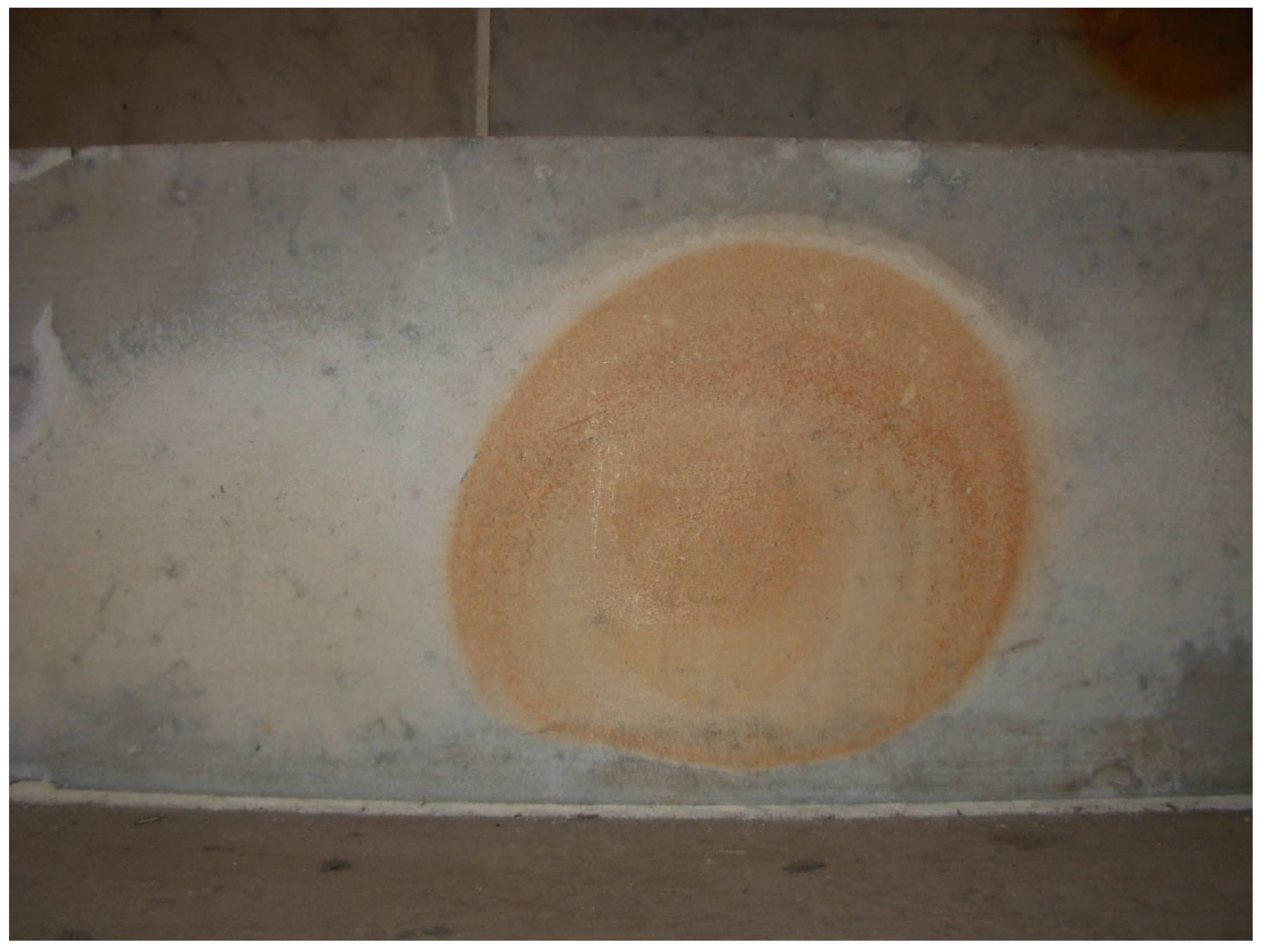 Preprints 168710 g012