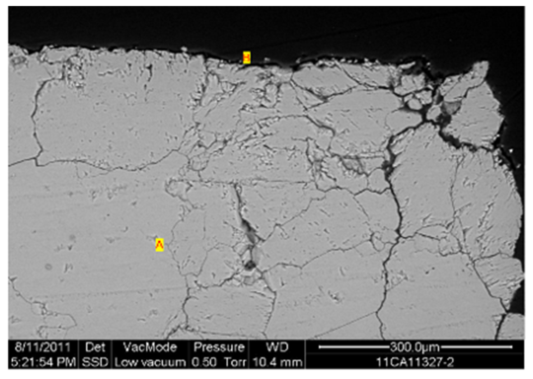 Preprints 168710 g014b