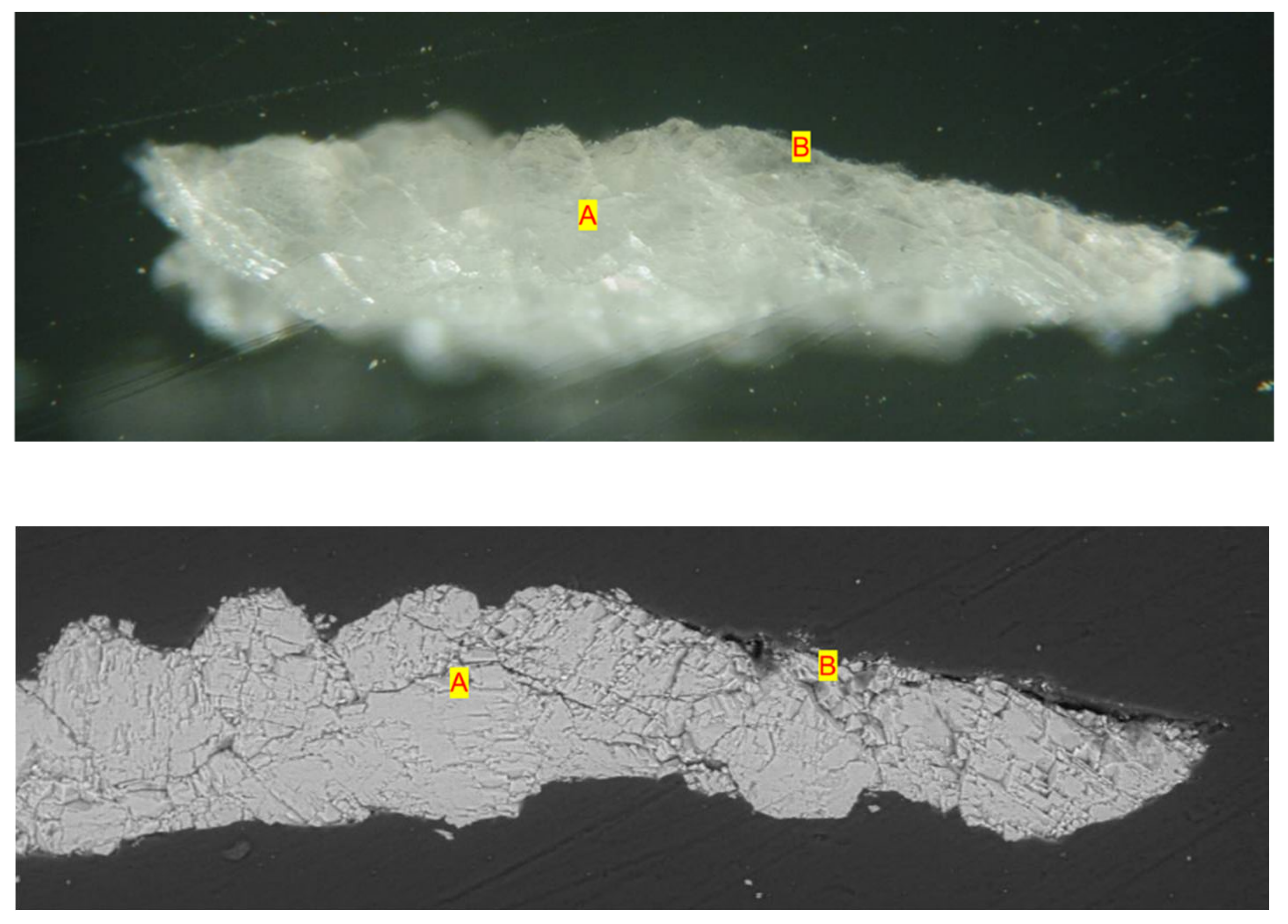 Preprints 168710 g015