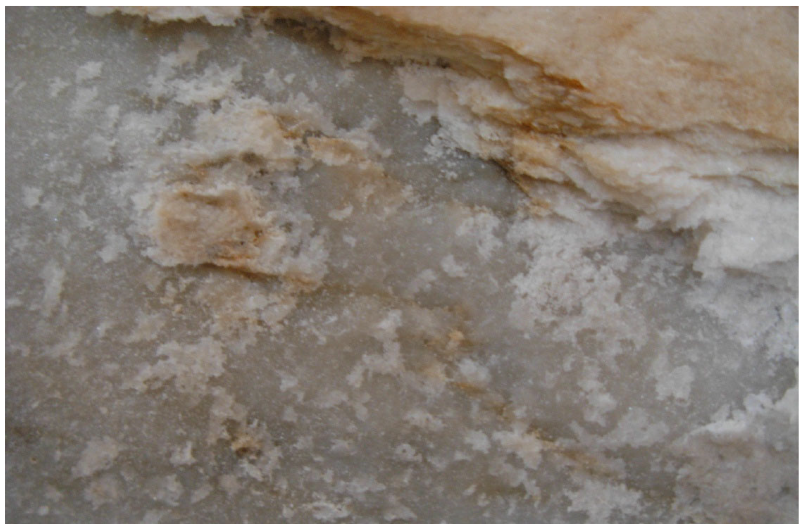 Preprints 168710 g016