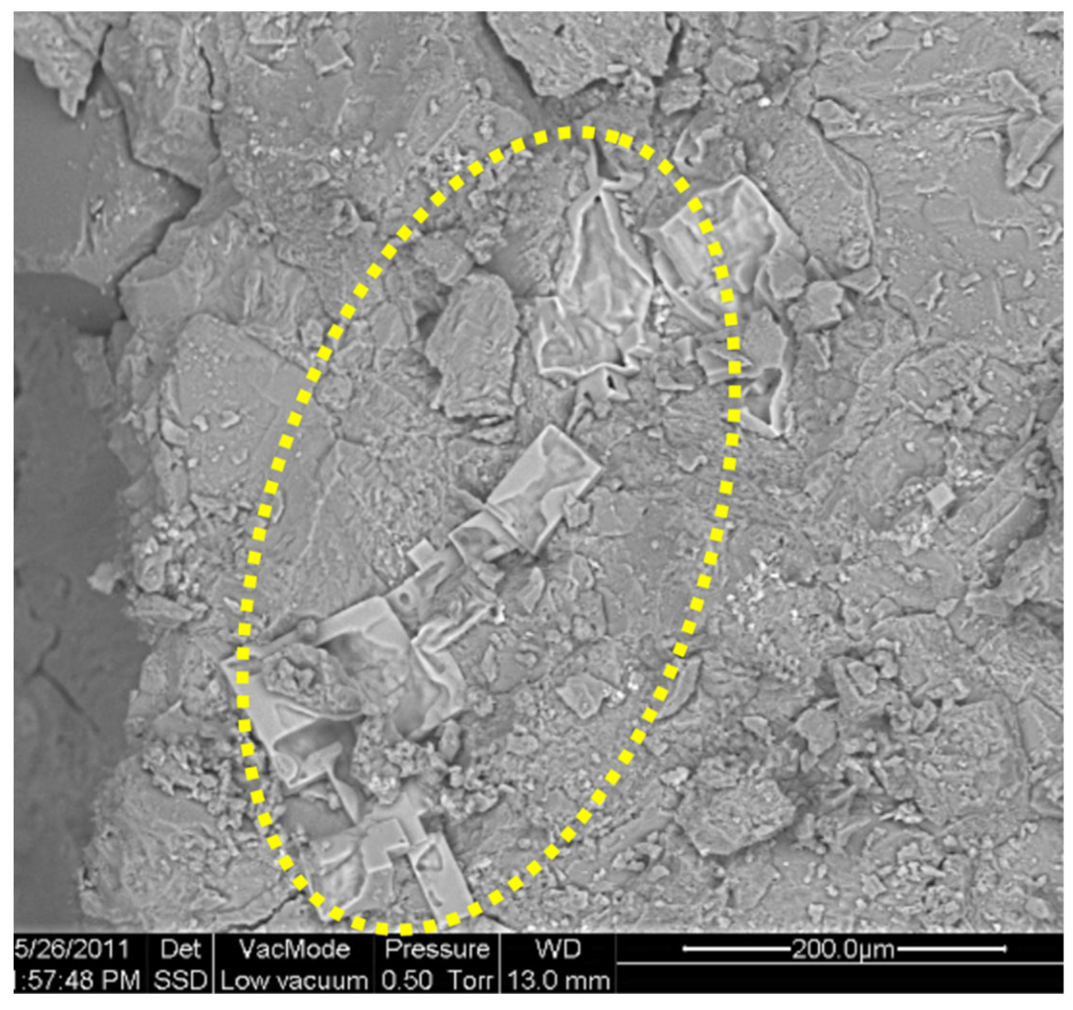 Preprints 168710 g018