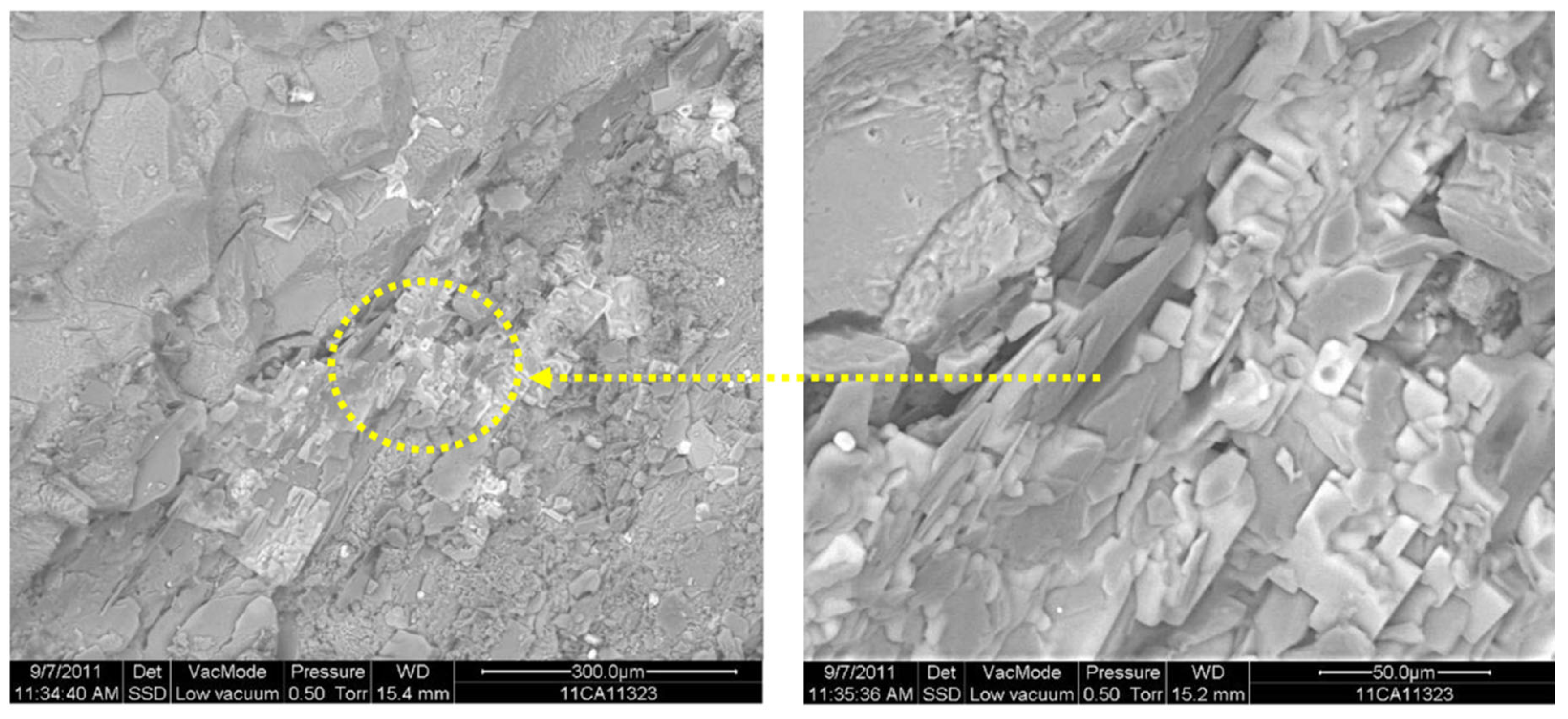 Preprints 168710 g019