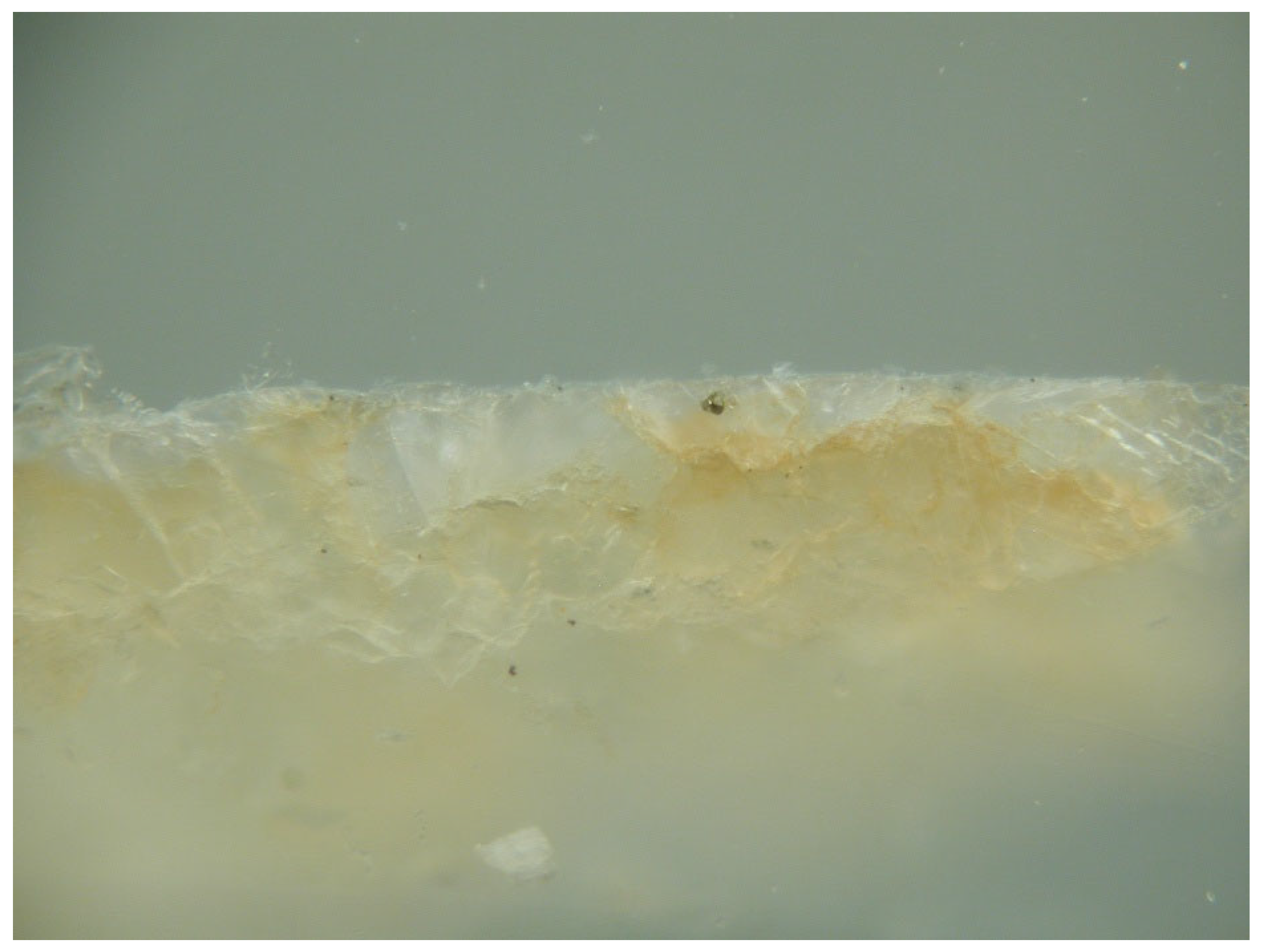 Preprints 168710 g020