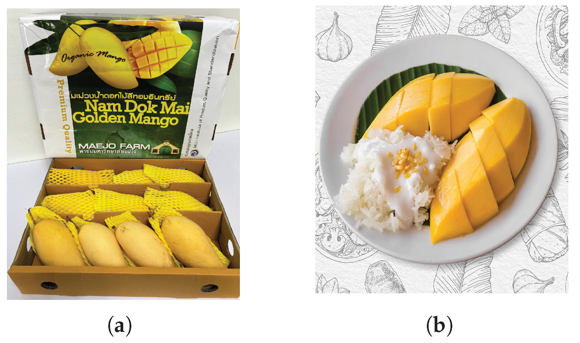 Preprints 177202 g001