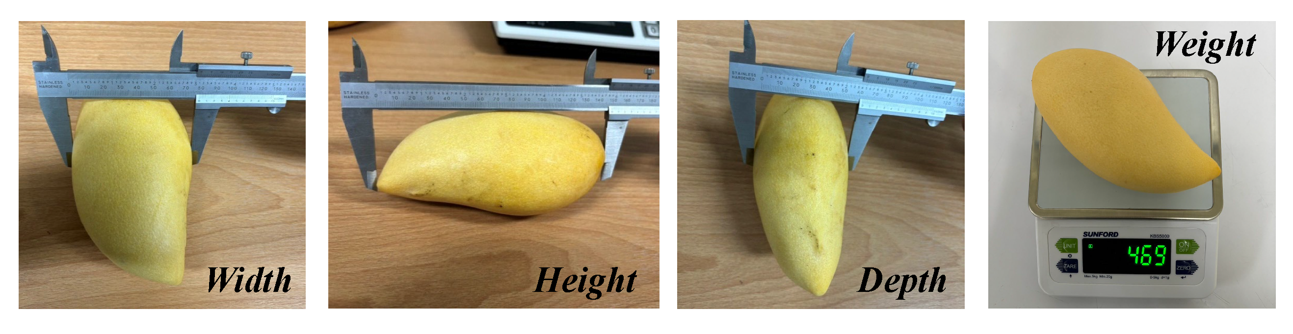 Preprints 177202 g004