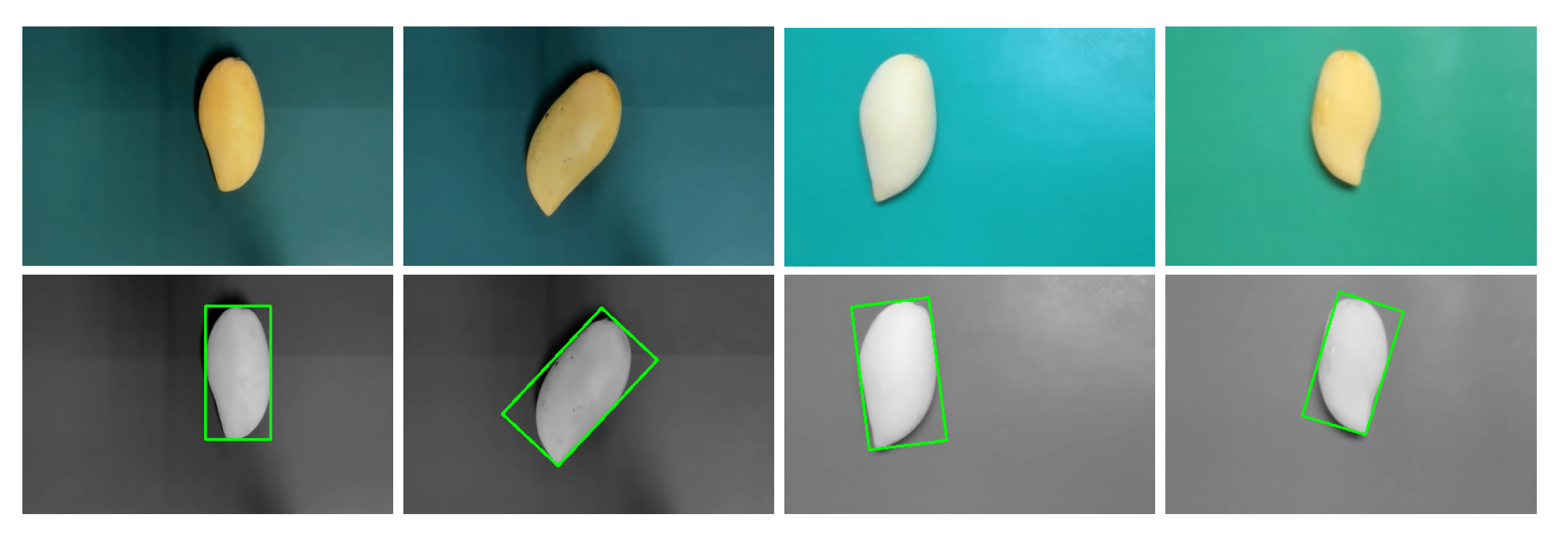 Preprints 177202 g006