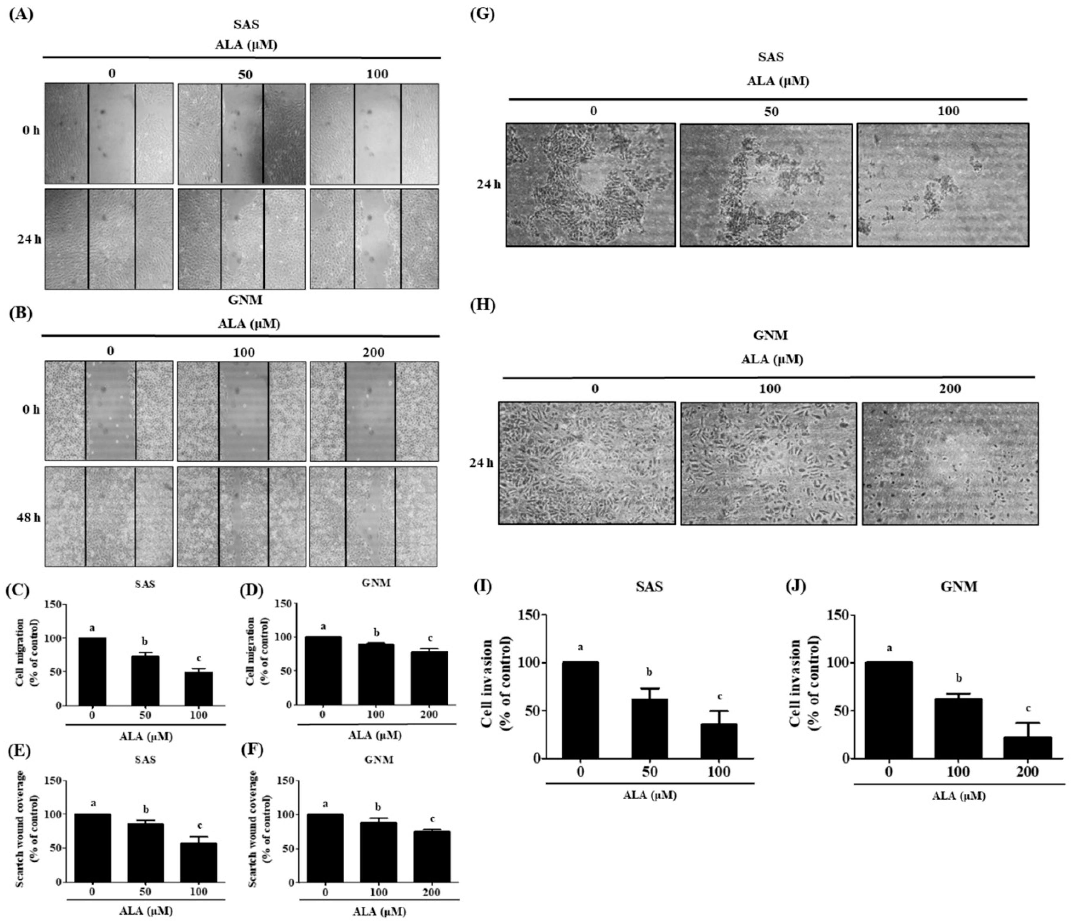 Preprints 87131 g002