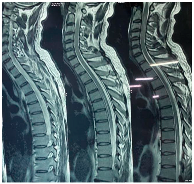 Preprints 95284 i002