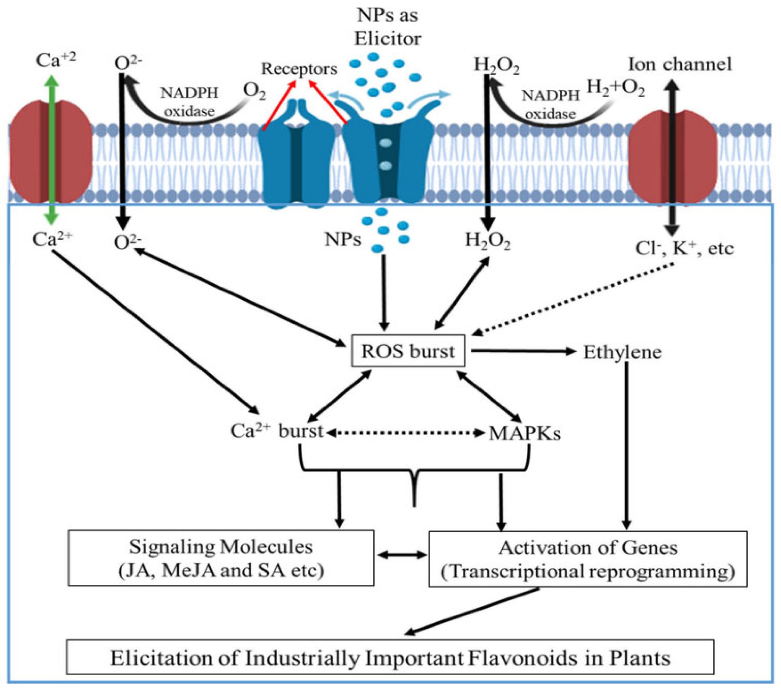 Preprints 169375 g002