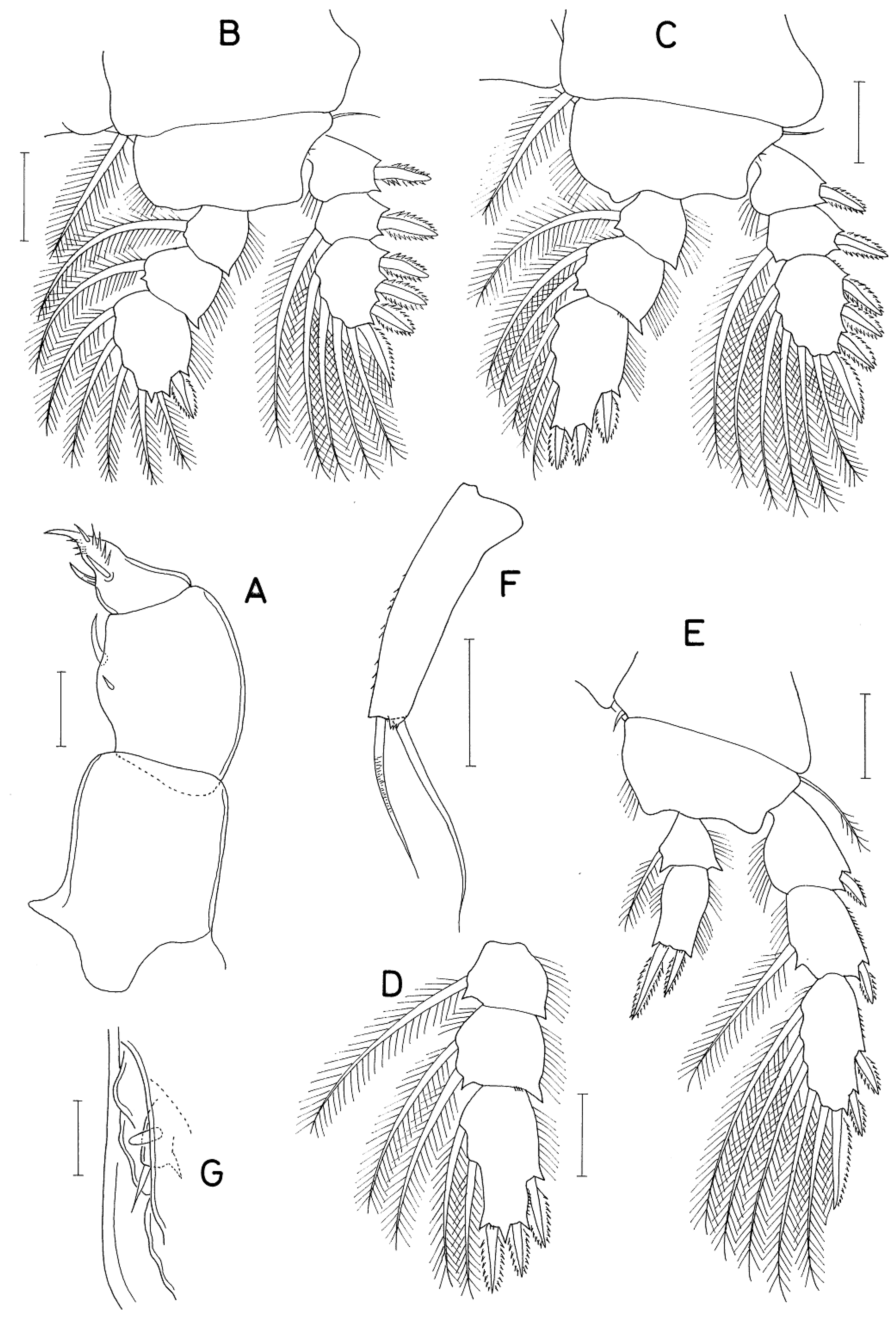 Preprints 166185 g003