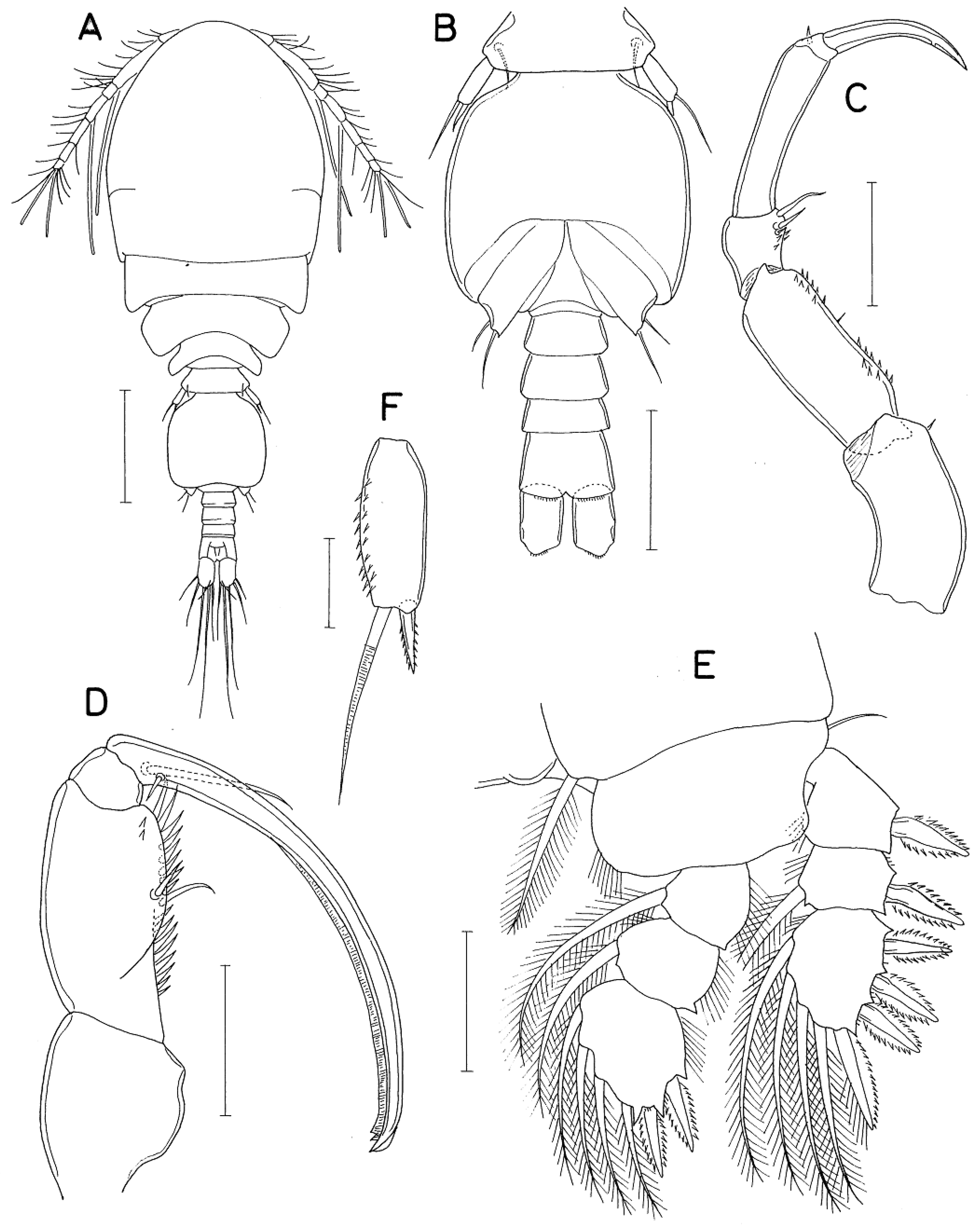 Preprints 166185 g004