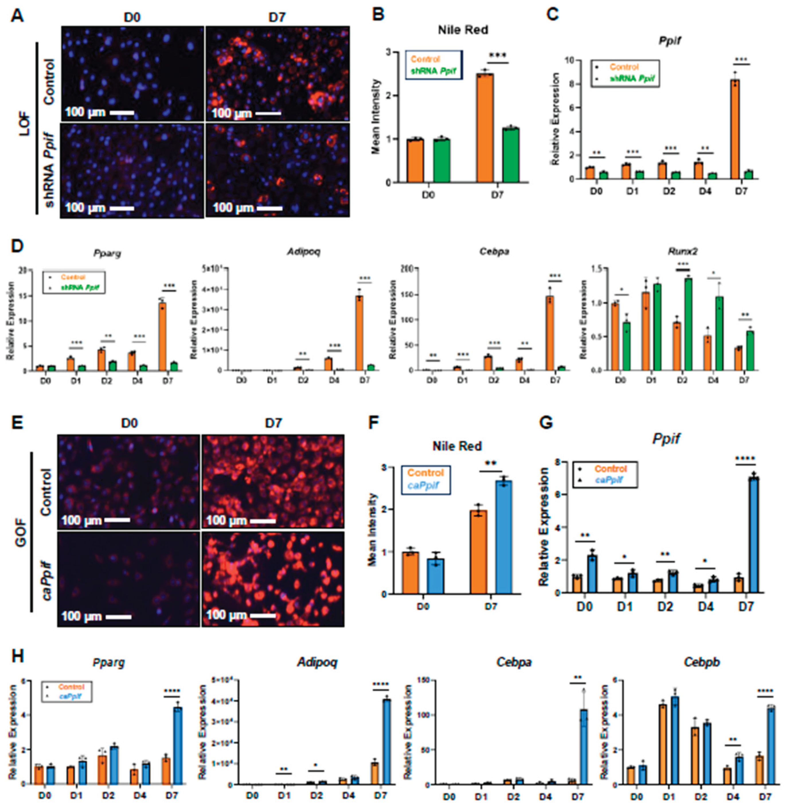 Preprints 194726 g001
