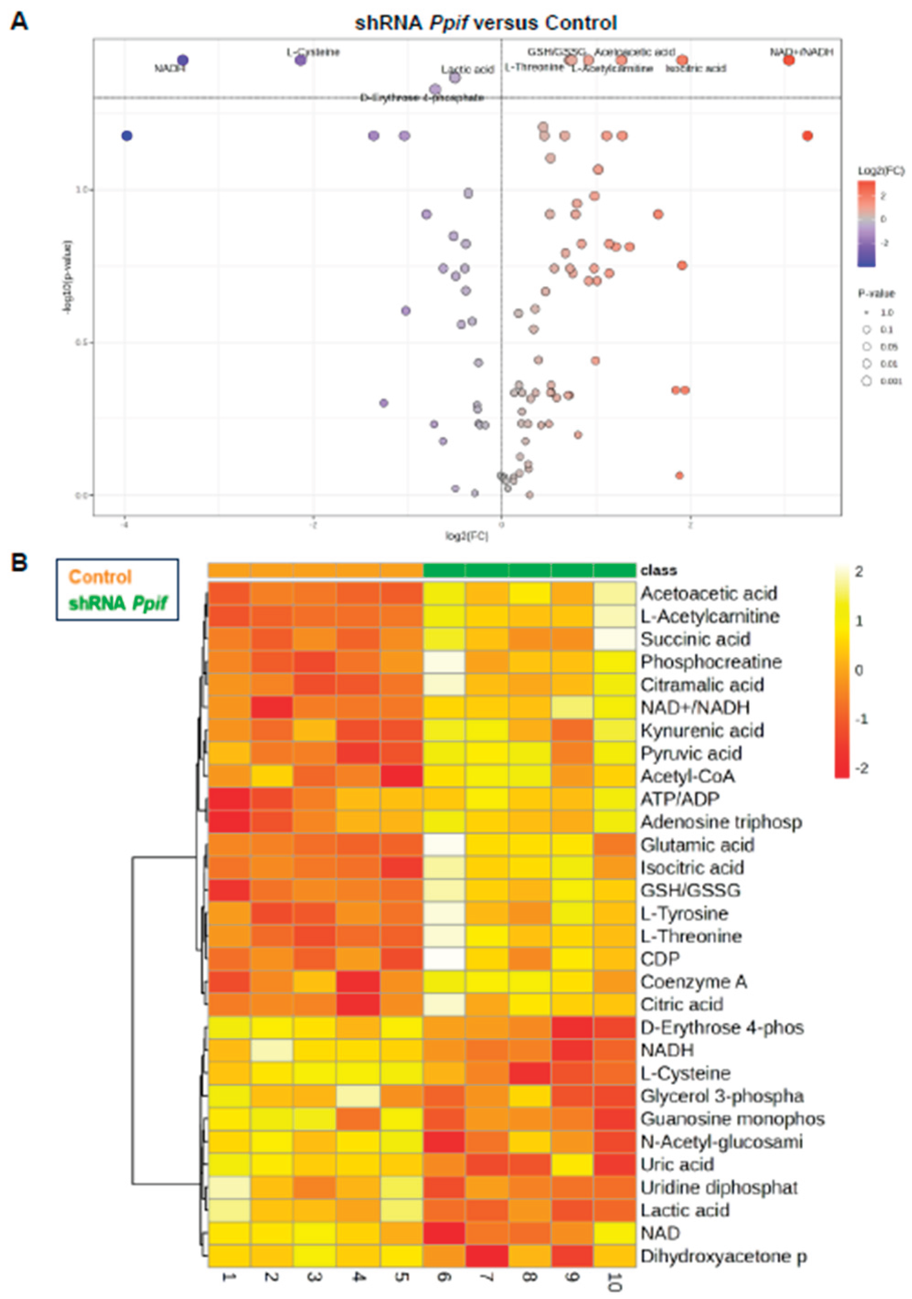 Preprints 194726 g003