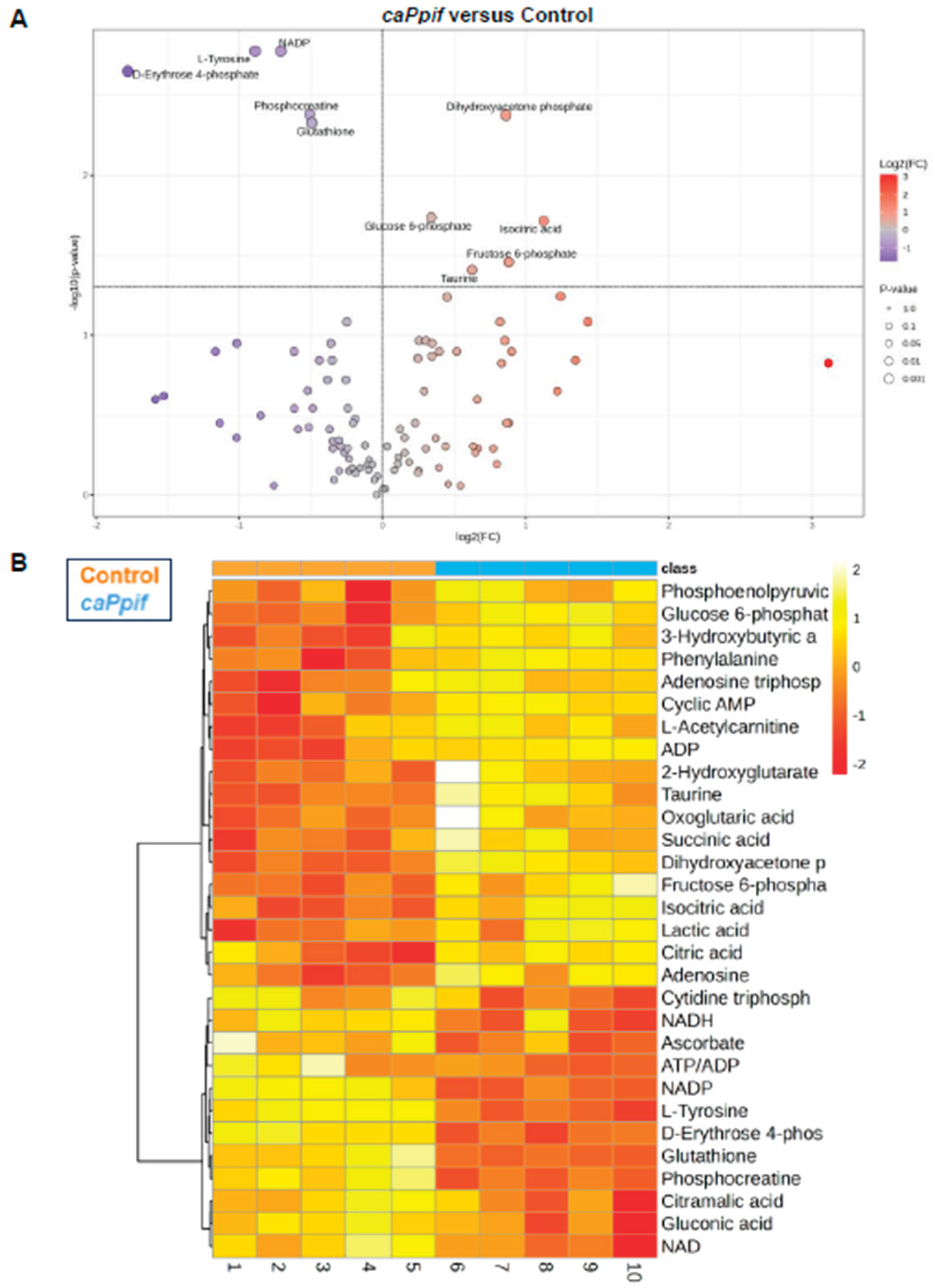 Preprints 194726 g004