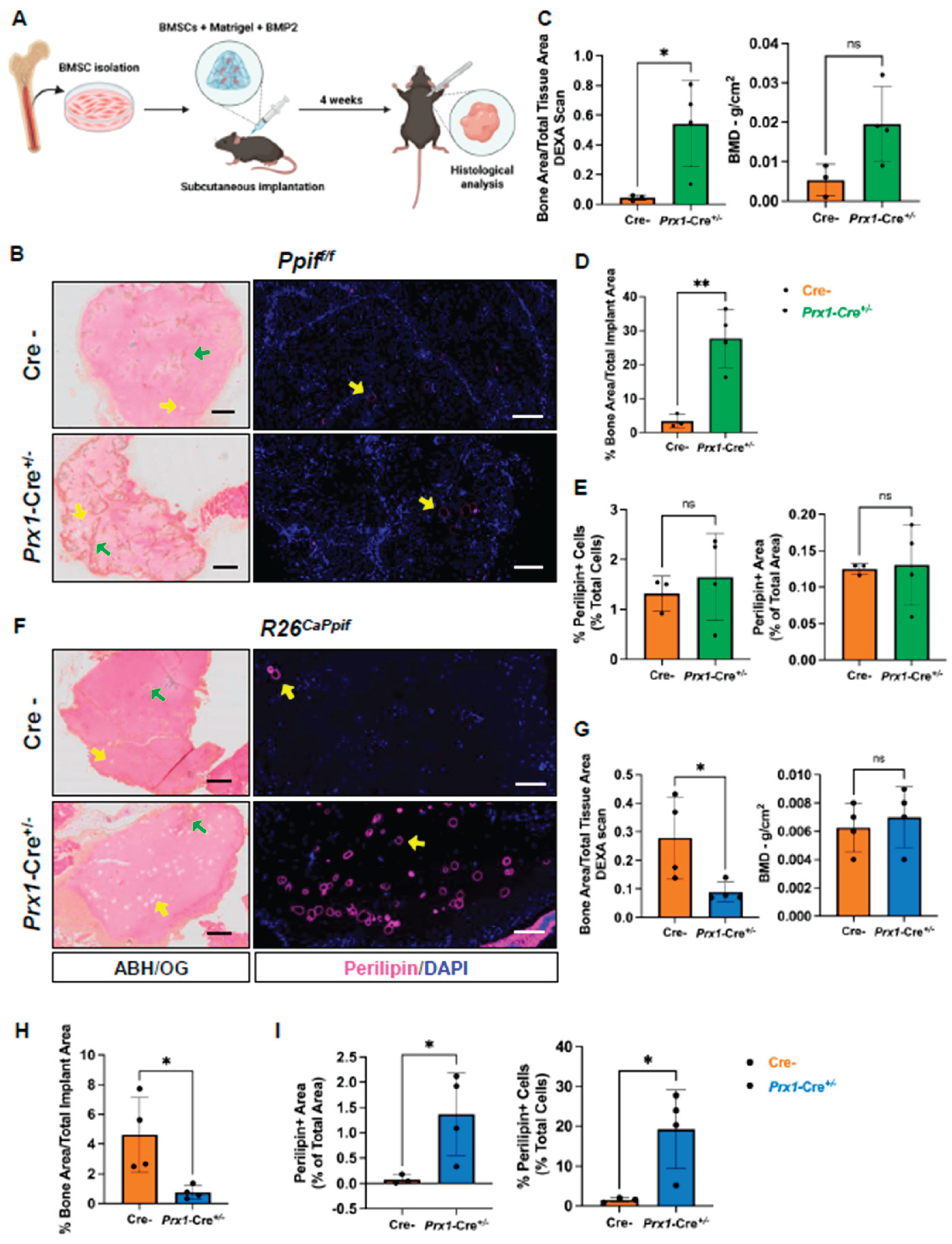 Preprints 194726 g006