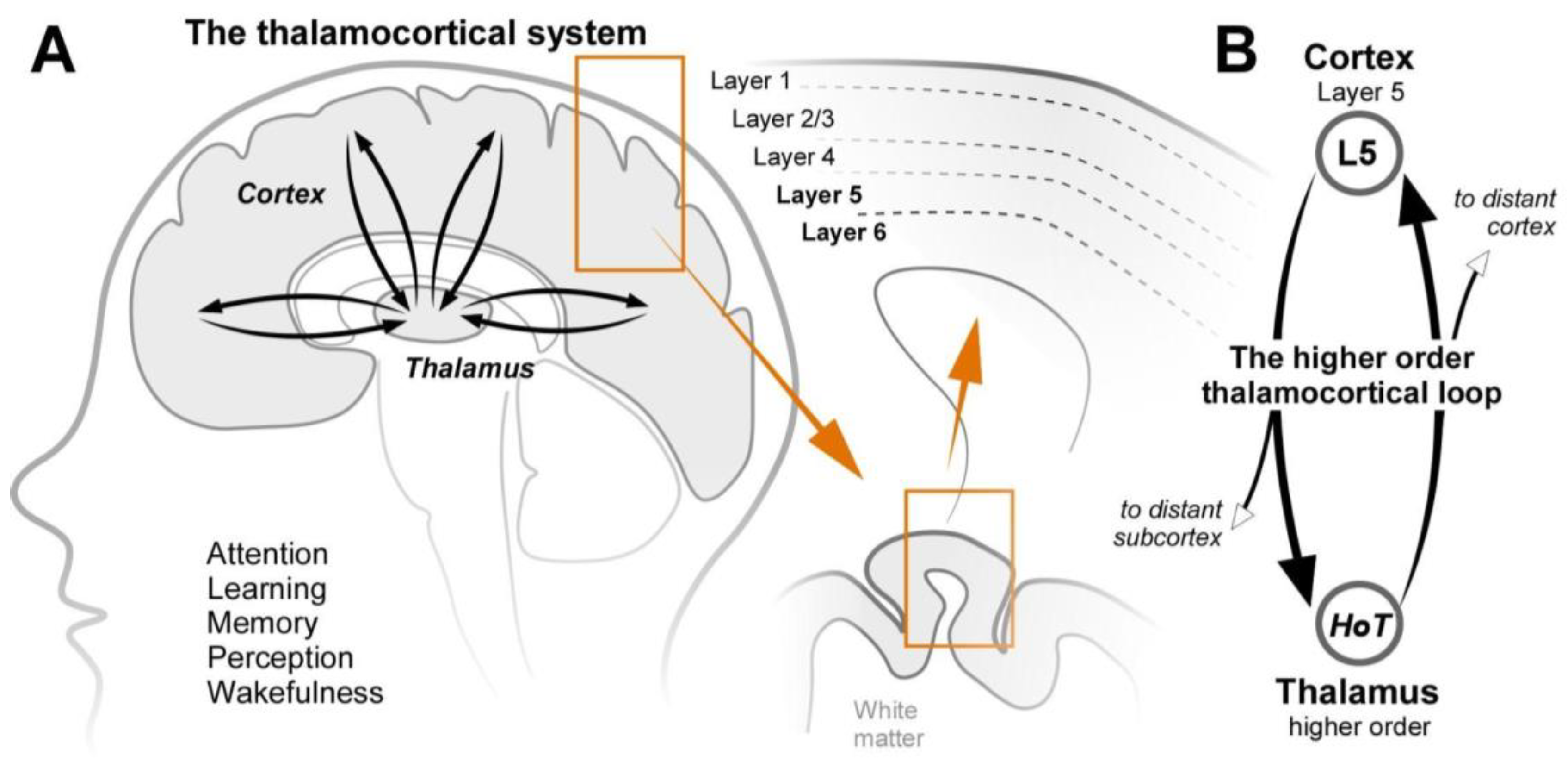 Preprints 165471 g001