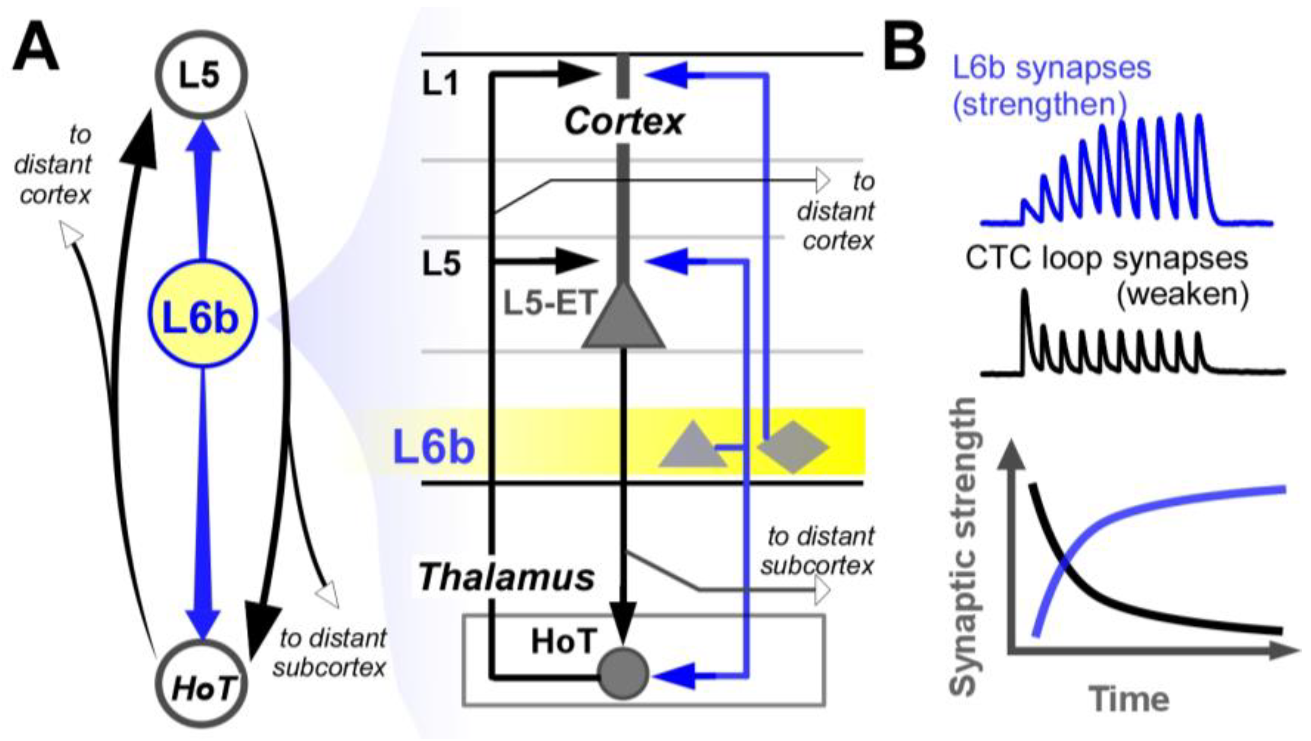 Preprints 165471 g002