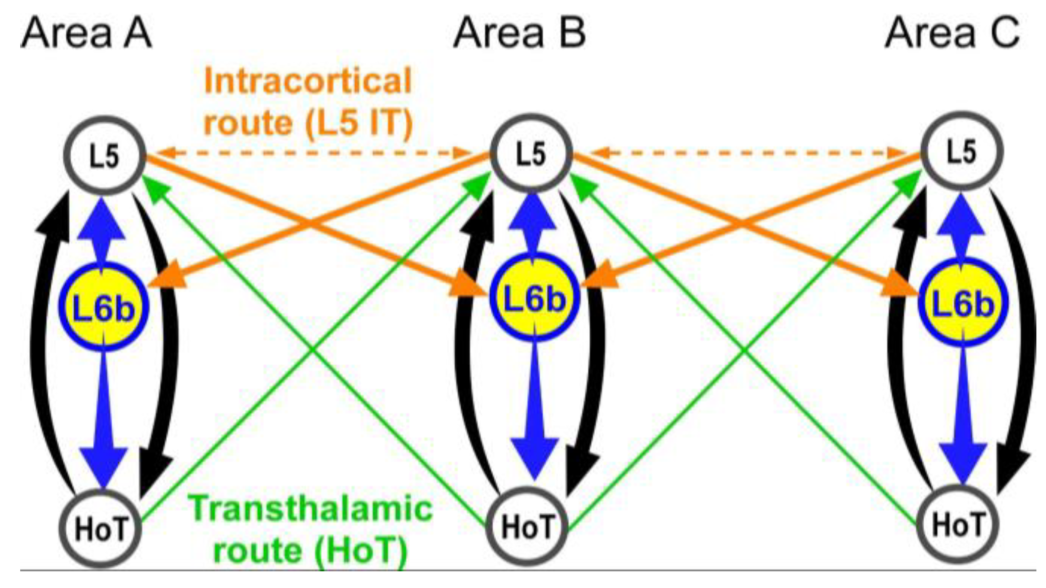 Preprints 165471 g005