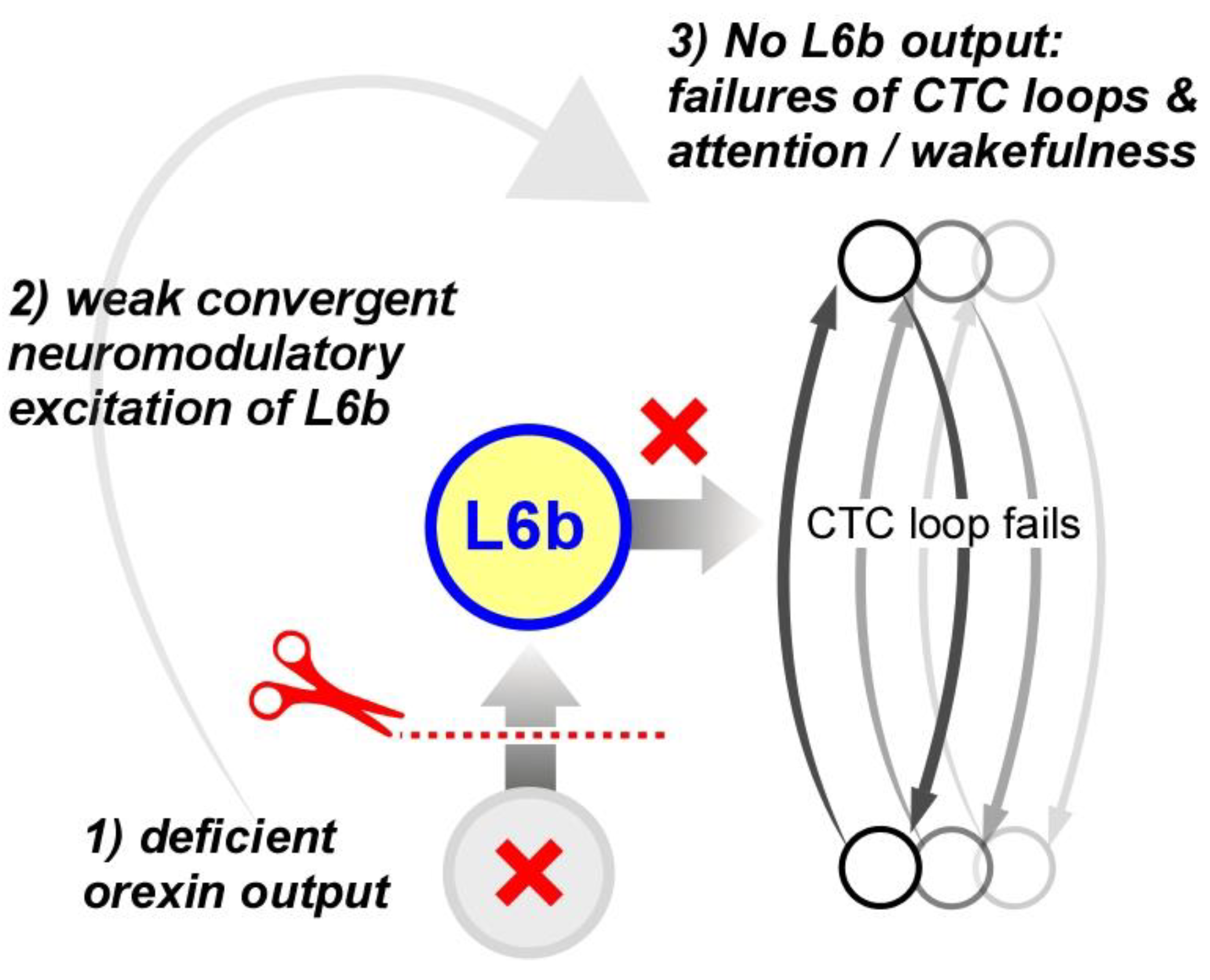 Preprints 165471 g006