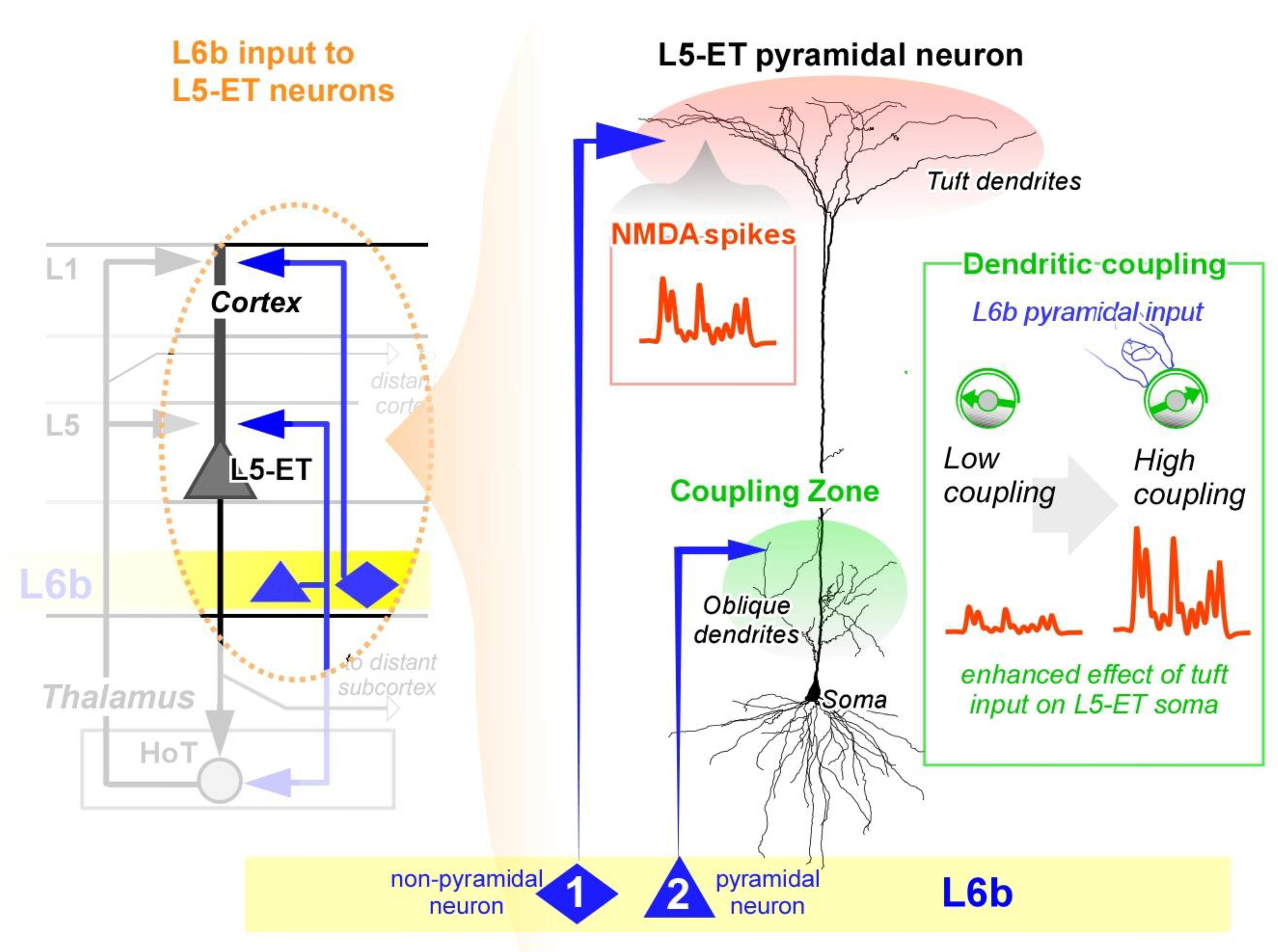 Preprints 165471 i001