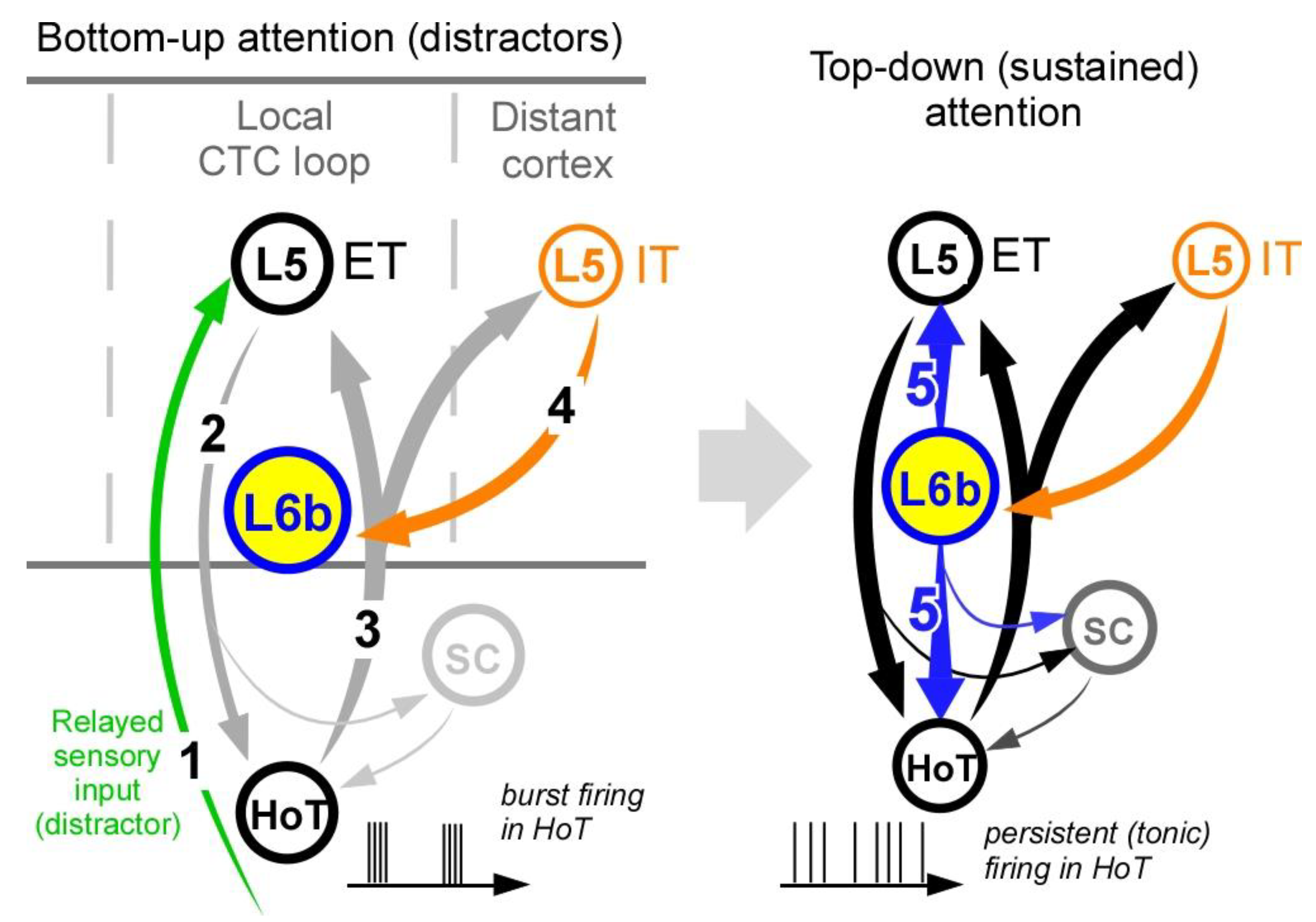 Preprints 165471 i002