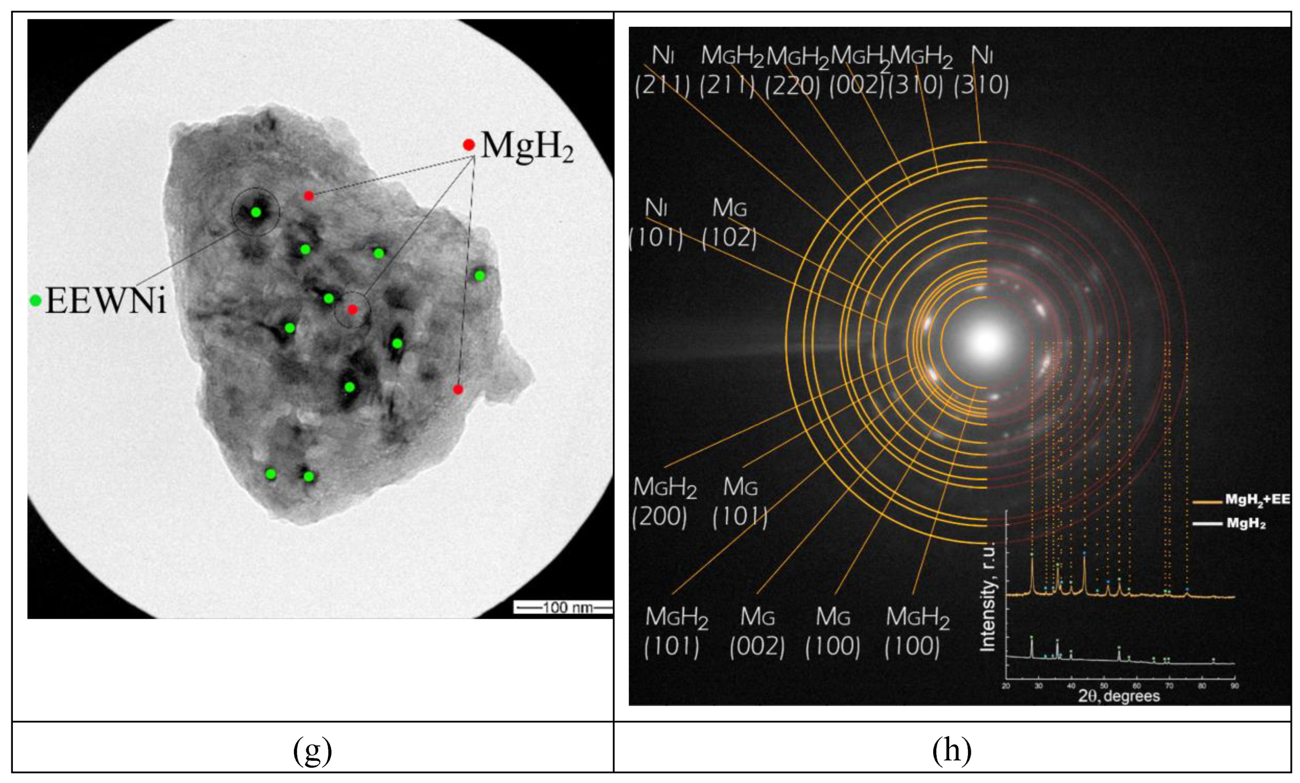 Preprints 143998 g001b