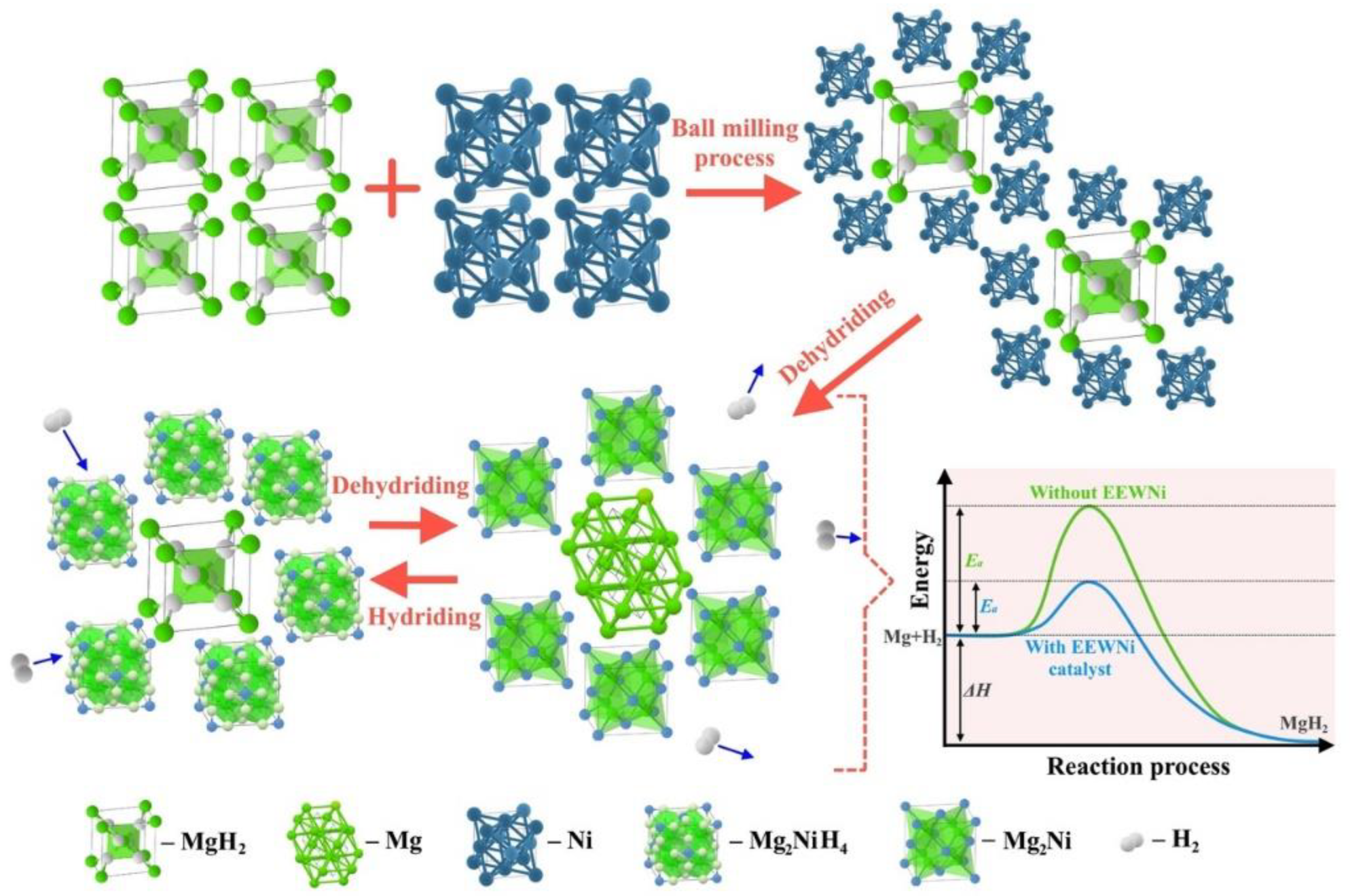 Preprints 143998 g006