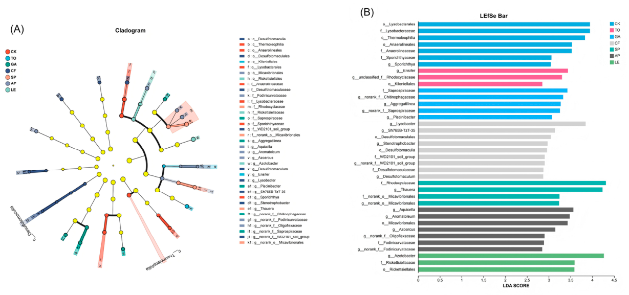 Preprints 219573 g008 Preprints 219573 g008