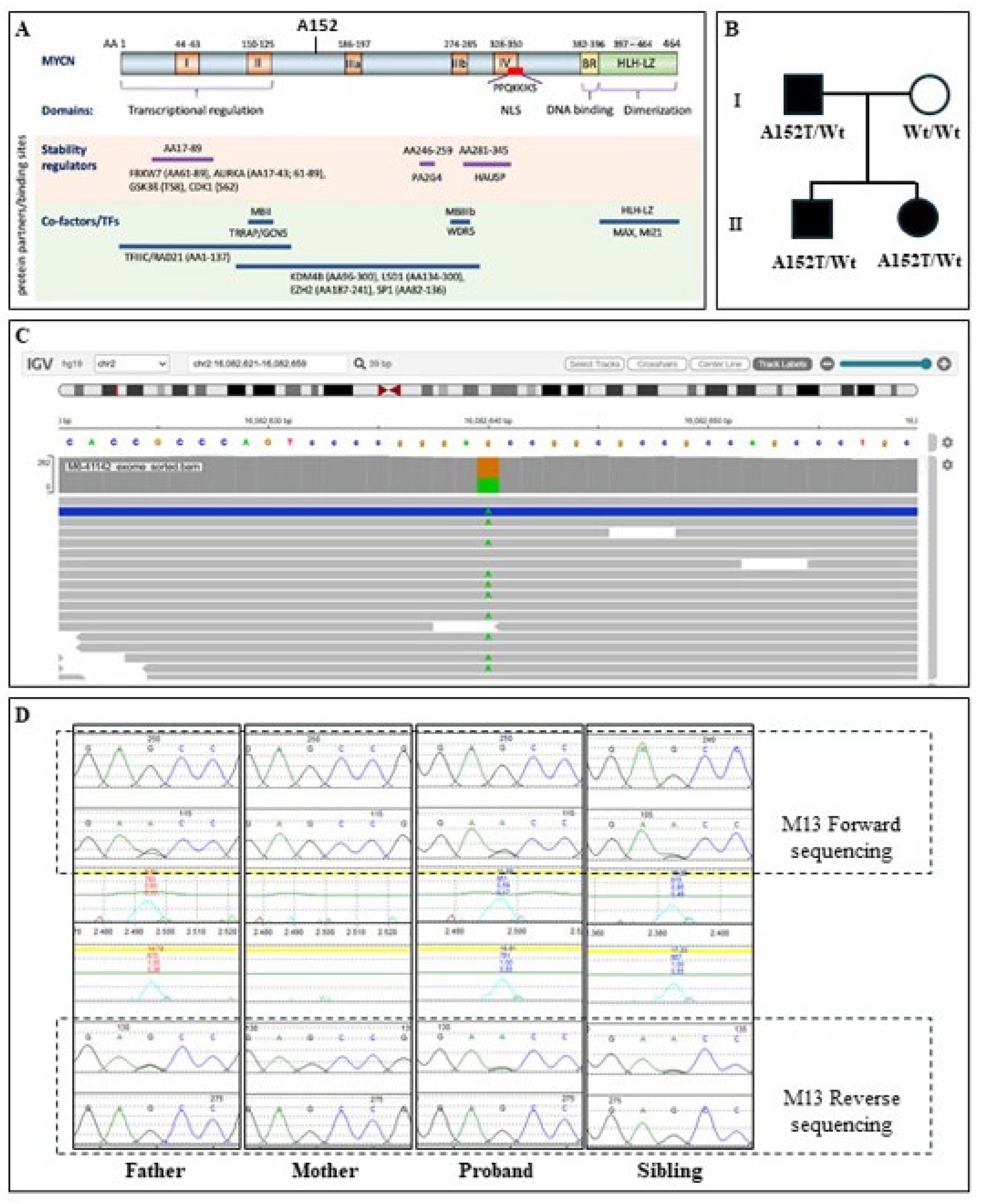 Preprints 205805 g002 Preprints 205805 g002