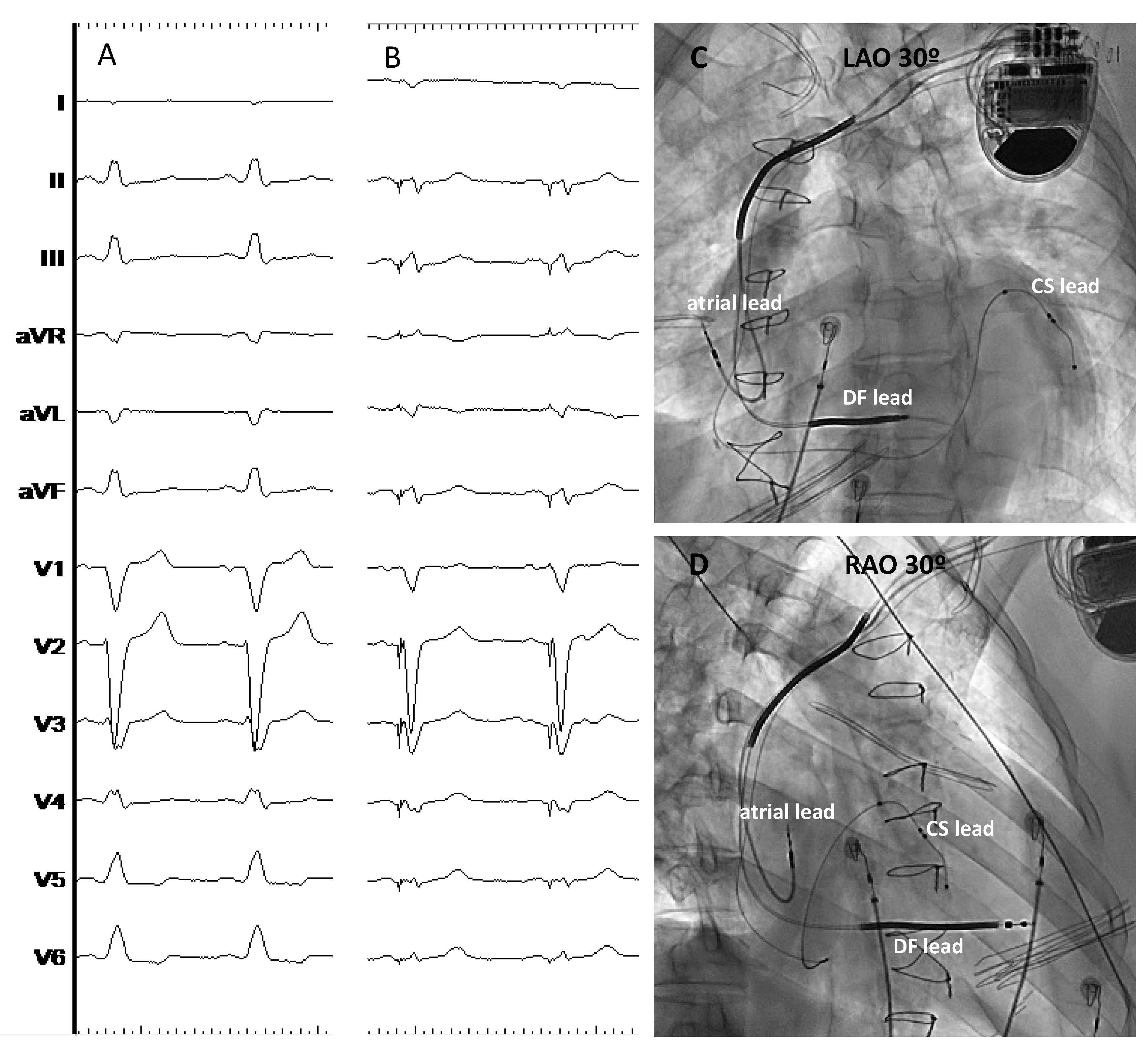 Preprints 85513 g001