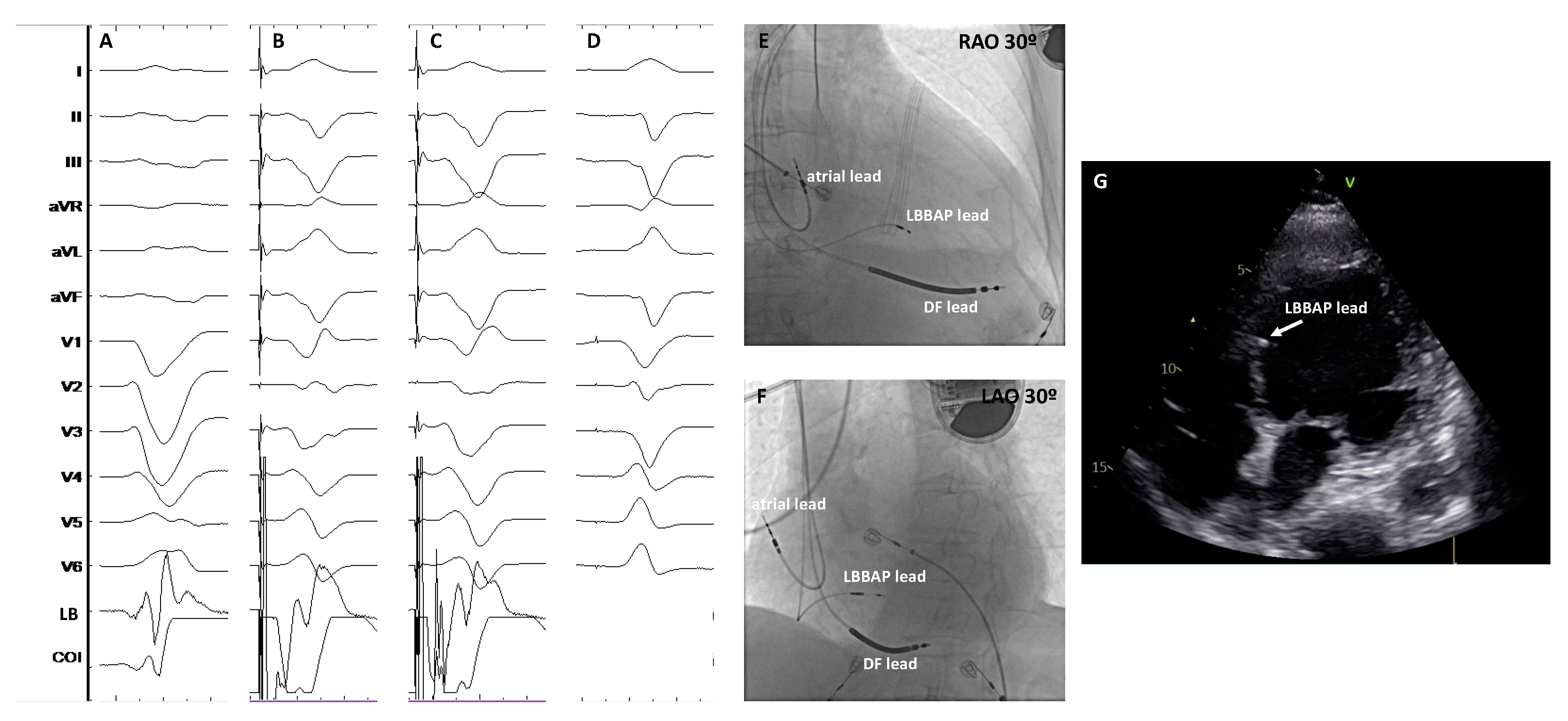 Preprints 85513 g004
