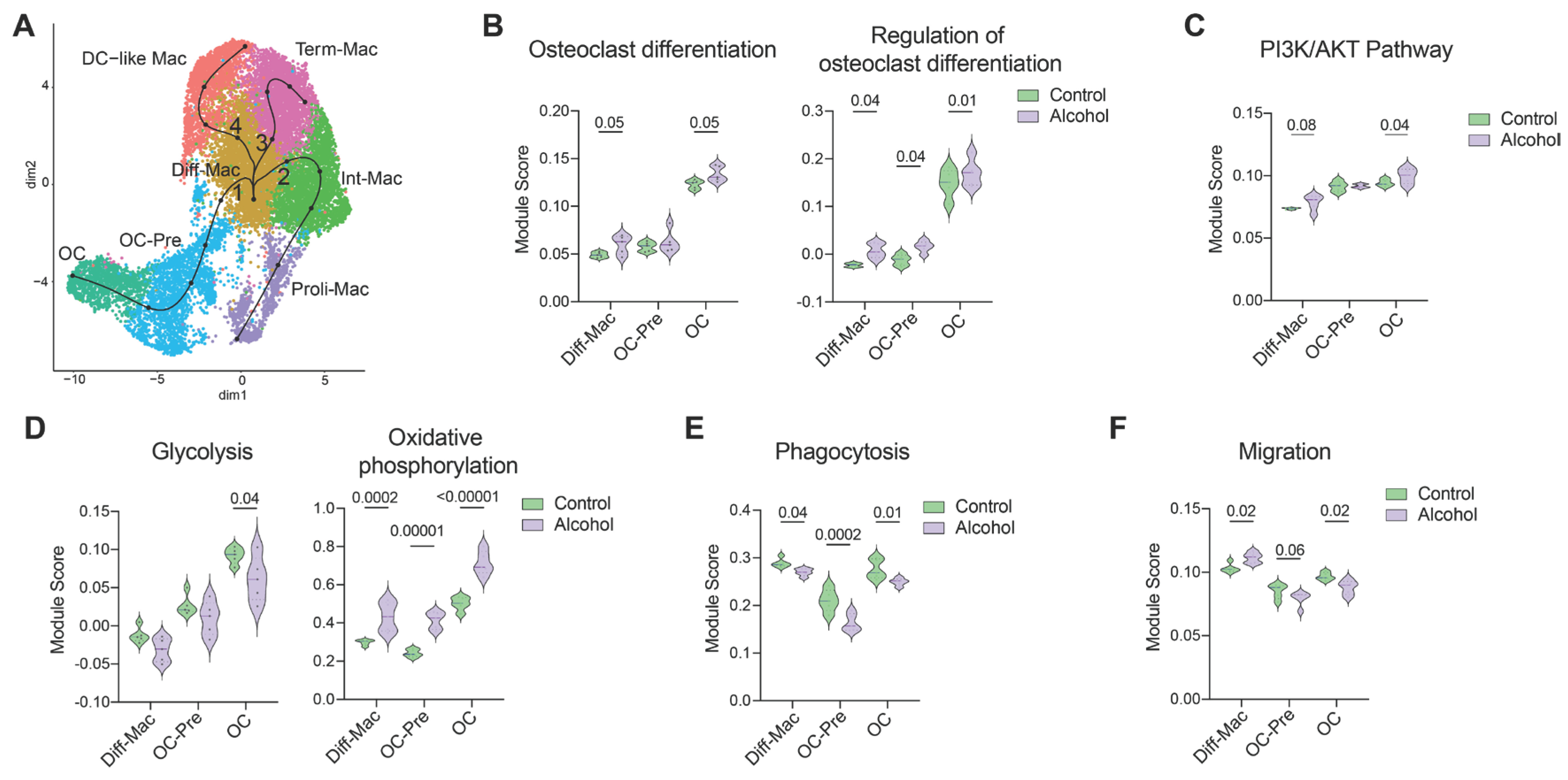 Preprints 202923 g001