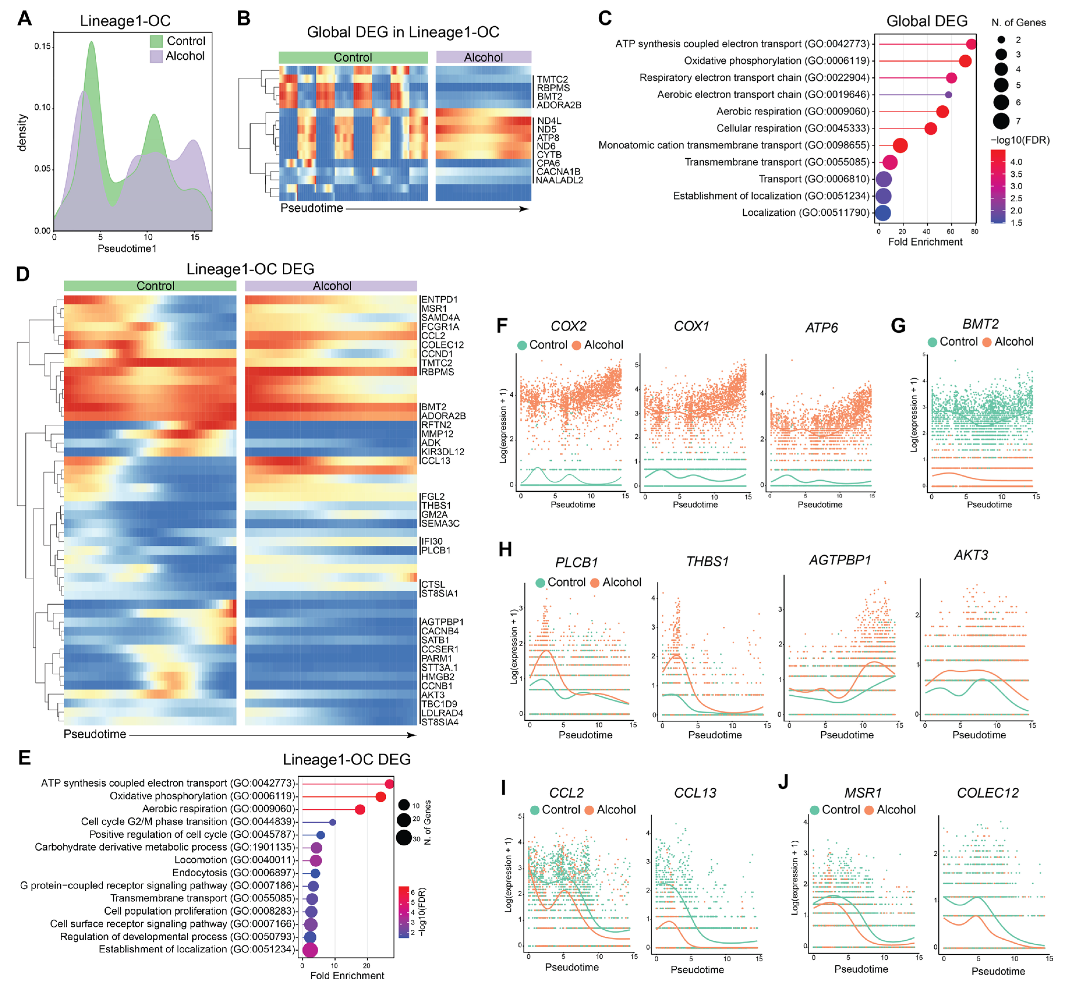 Preprints 202923 g002