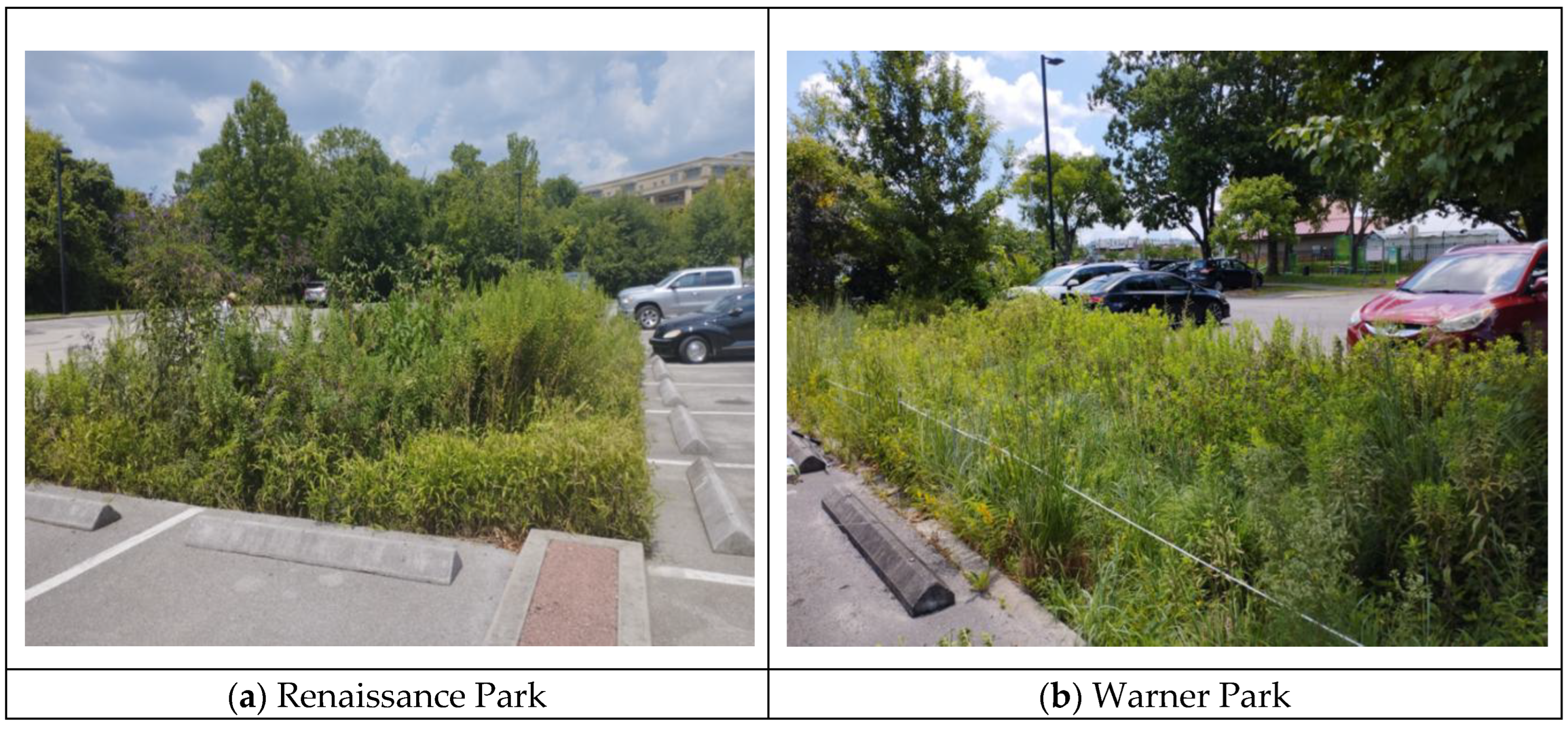 Preprints 201490 g001