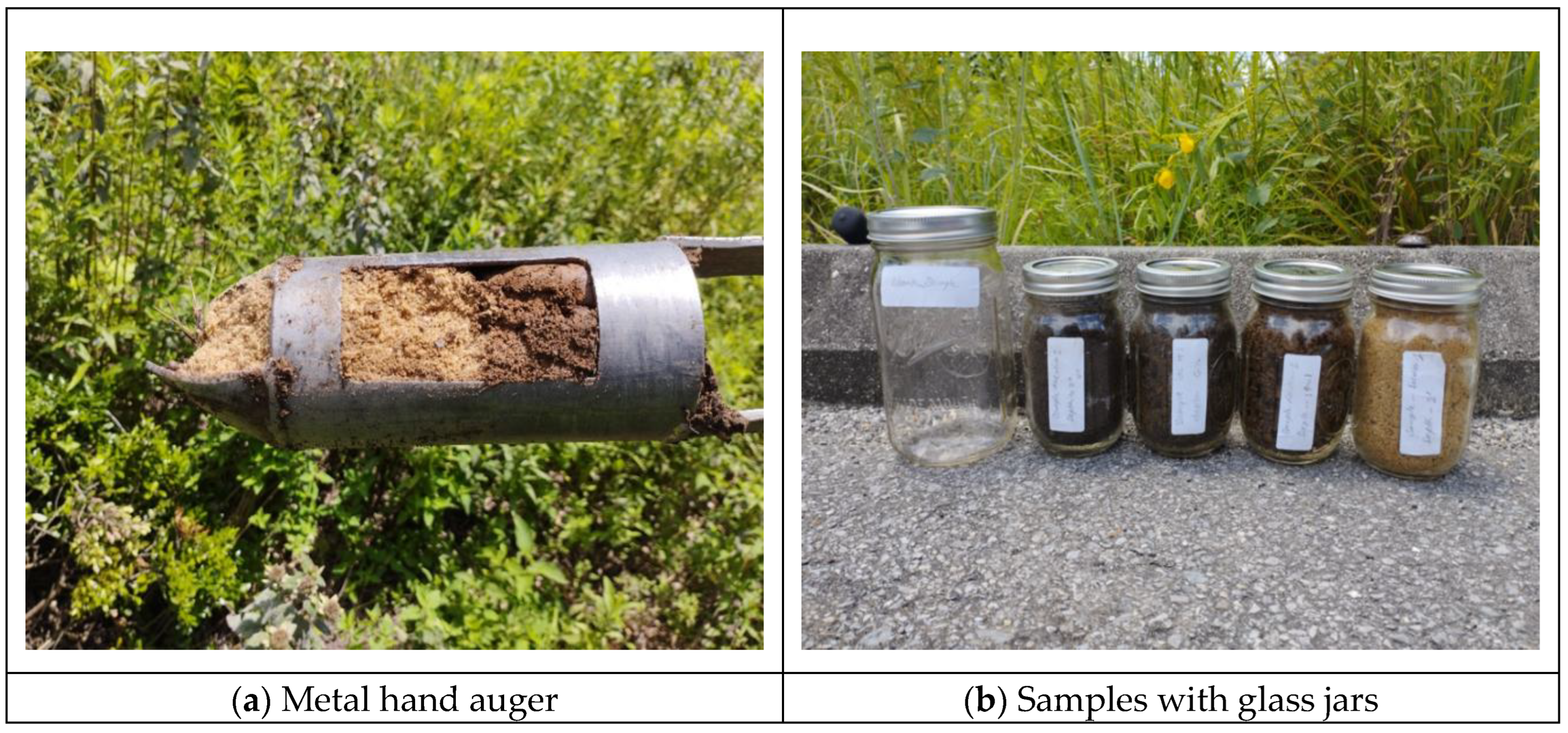 Preprints 201490 g002