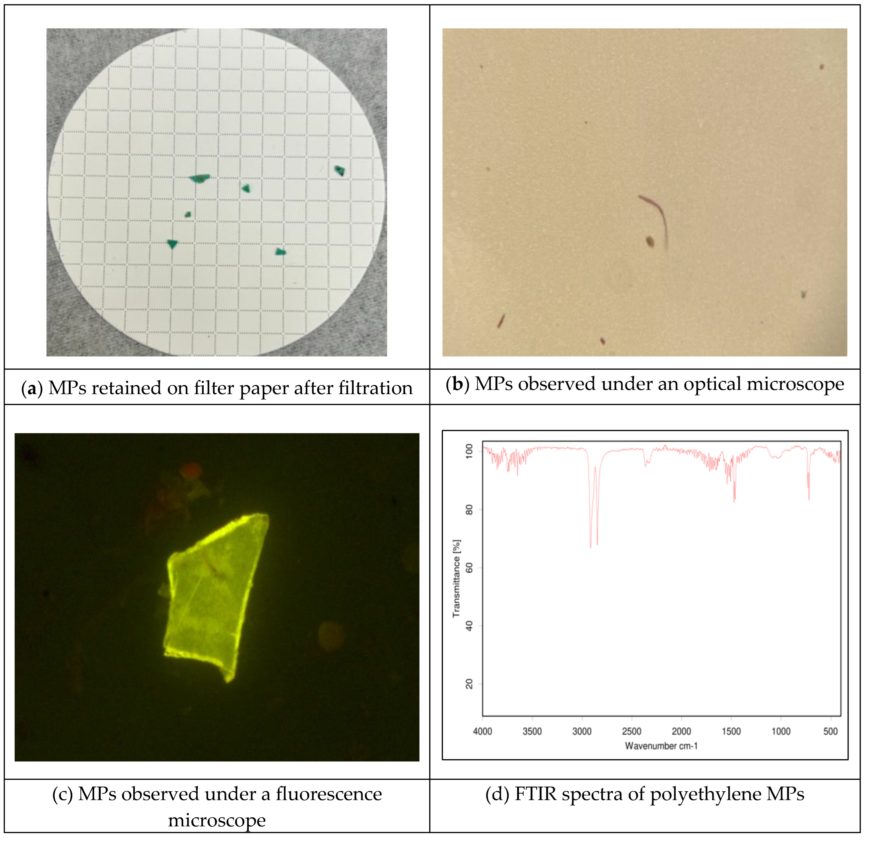 Preprints 201490 g009