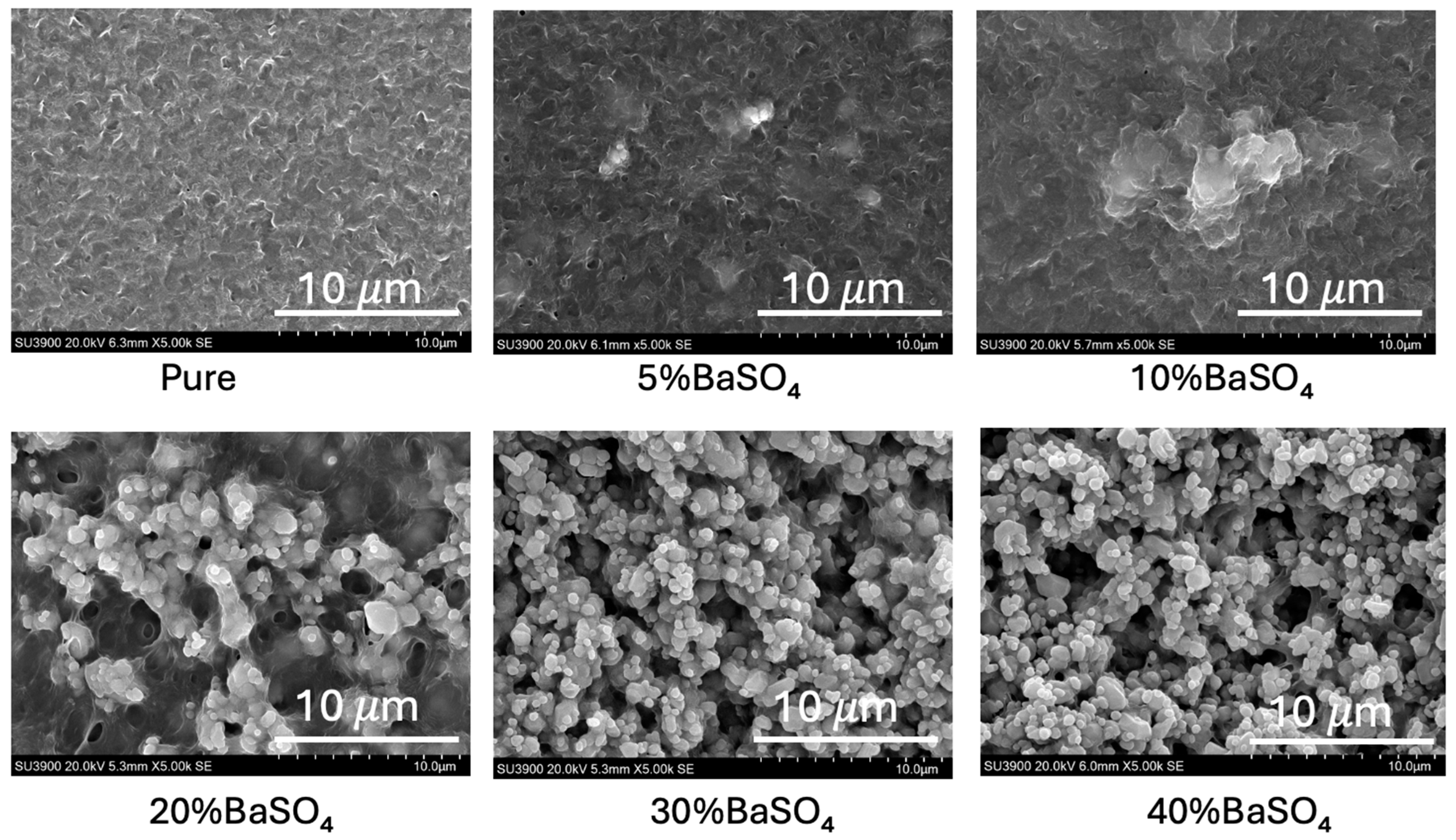 Preprints 147018 g002