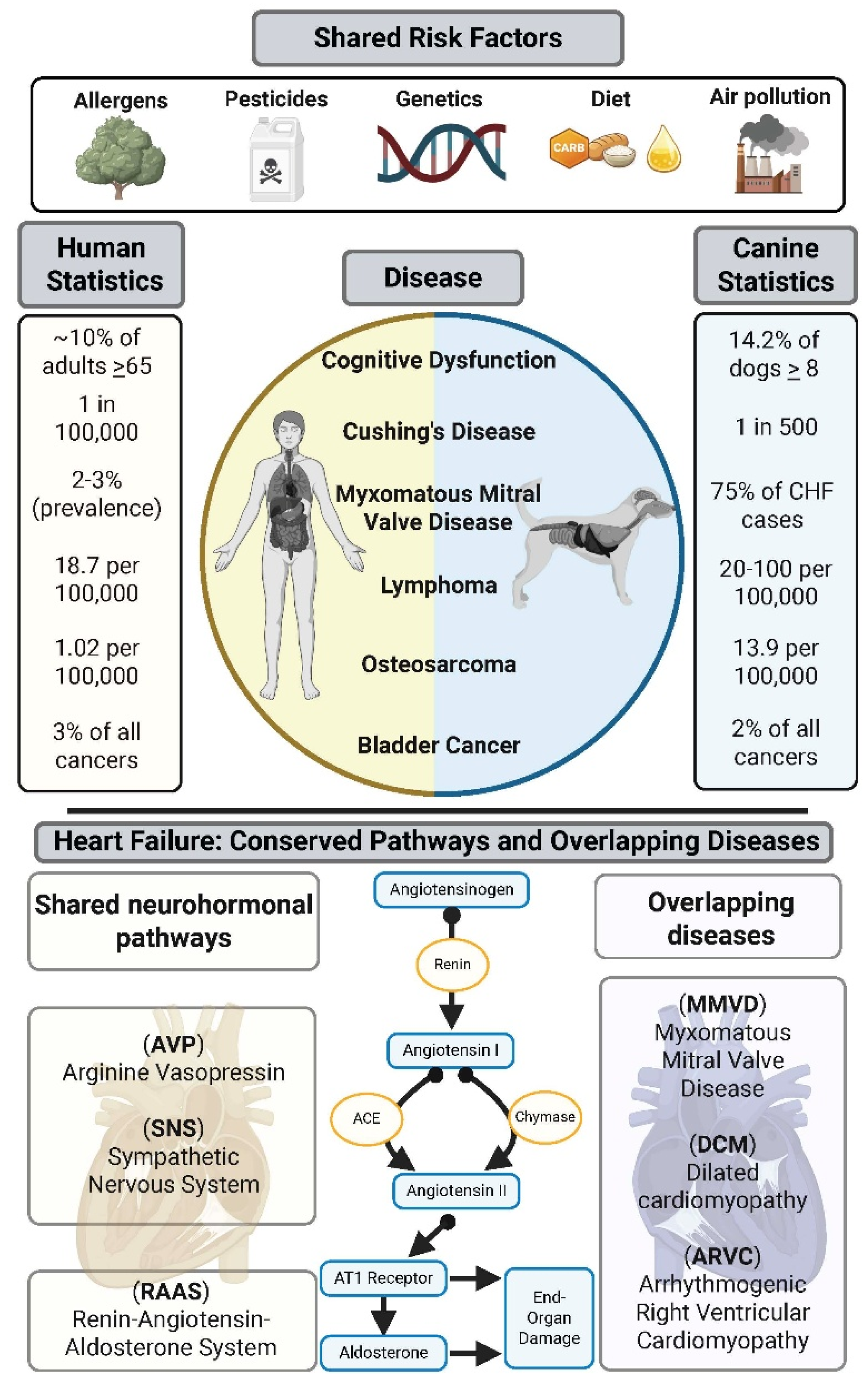 Are We Going to the Dogs? Human Disease Phenotypes in Canines[v2 ...
