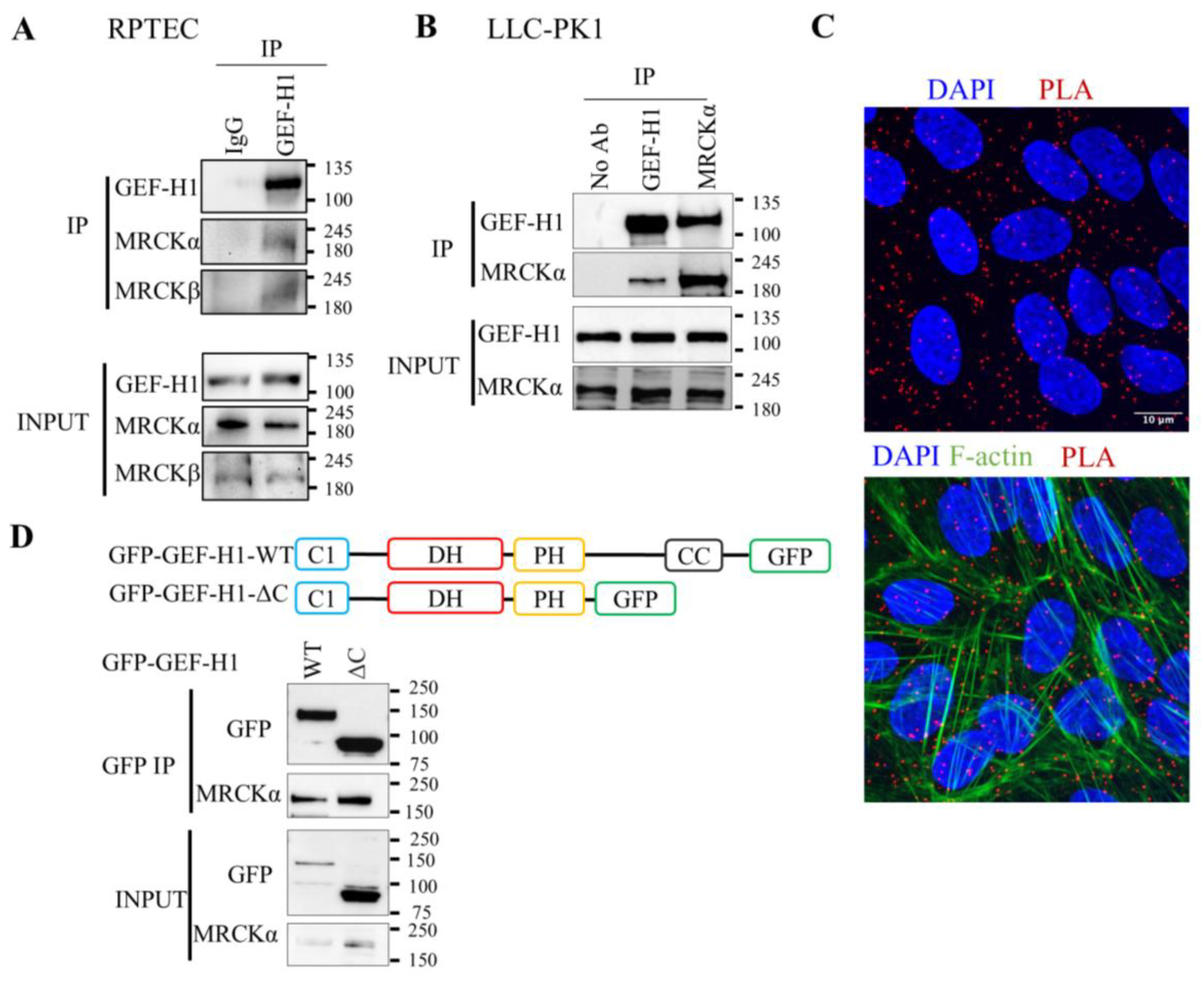 Preprints 189484 g001