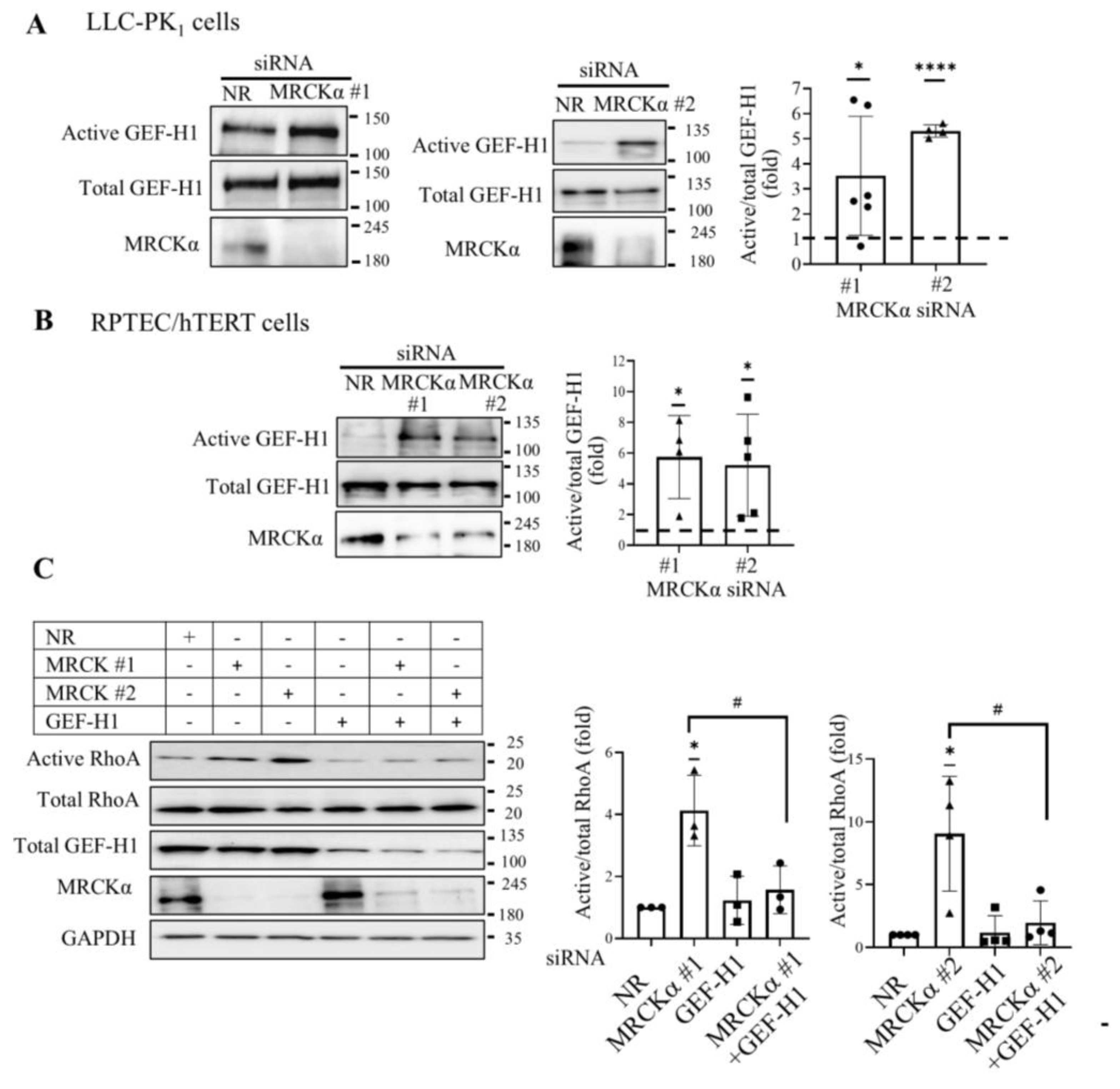 Preprints 189484 g002